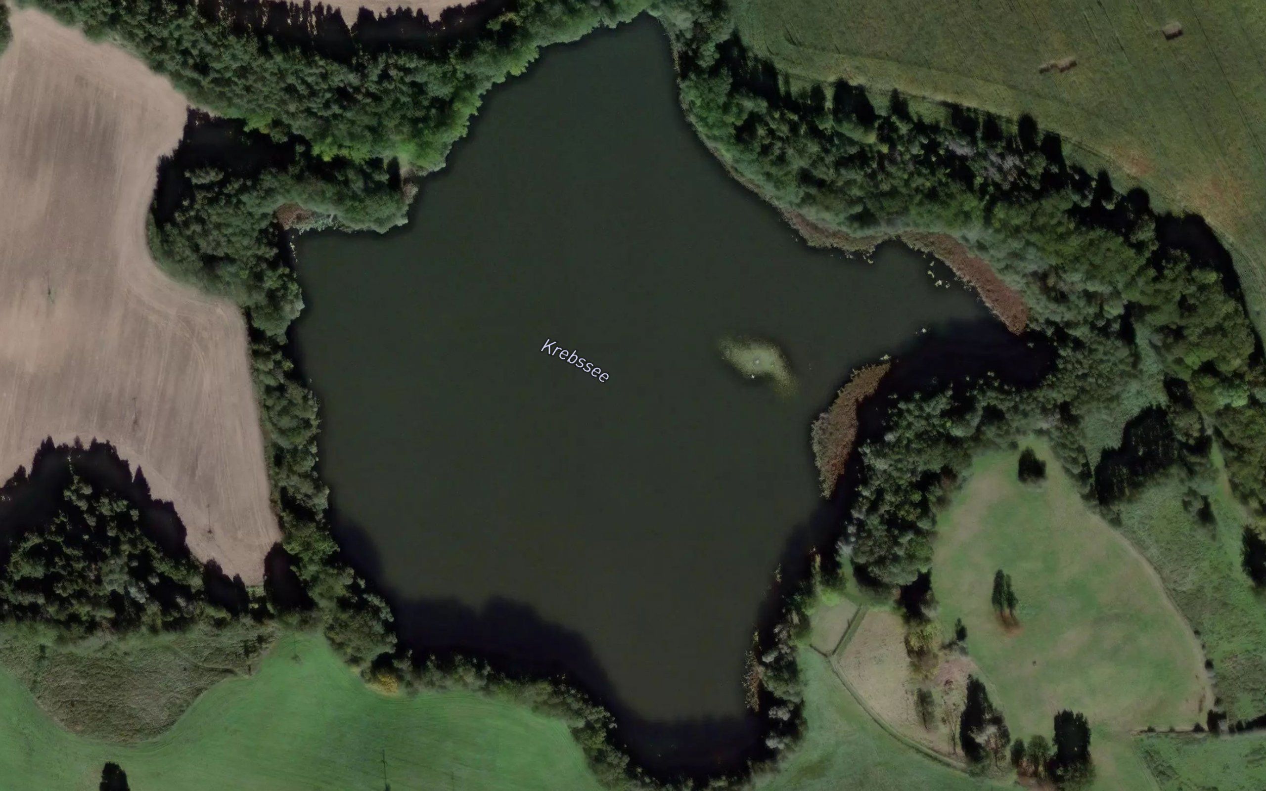 Krebssee