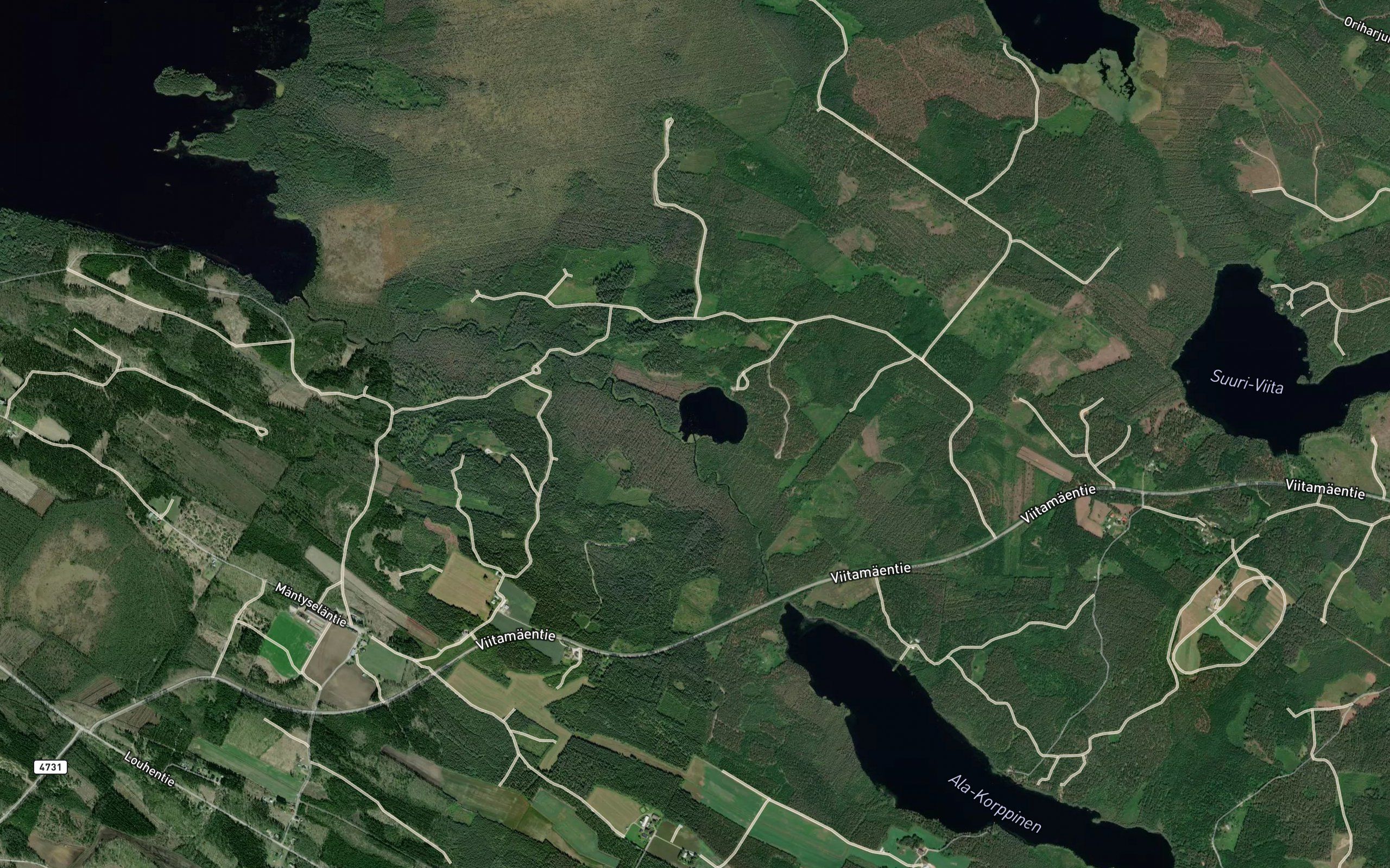 Korppisenjoki
