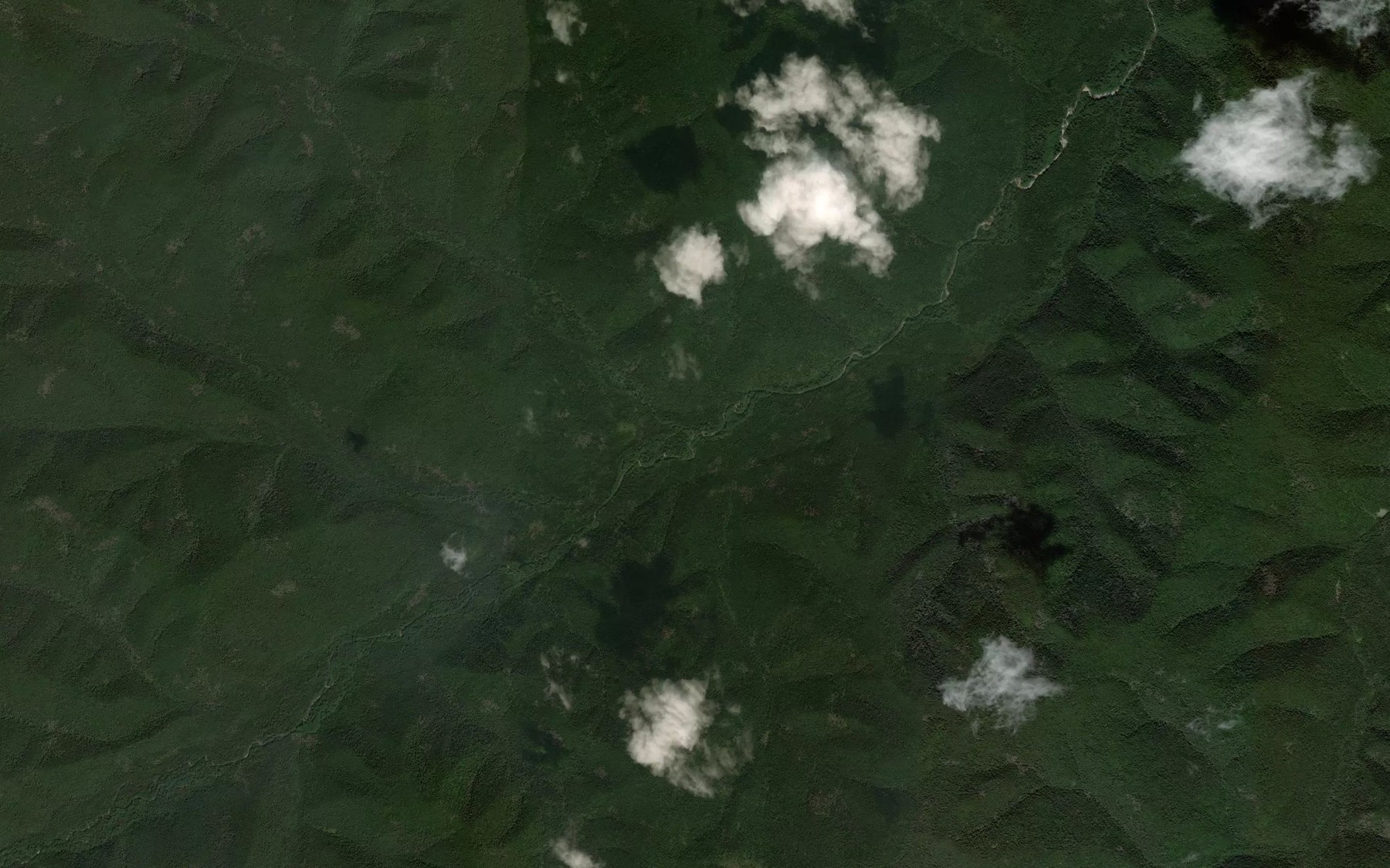 Satellite map of the Svetlyy