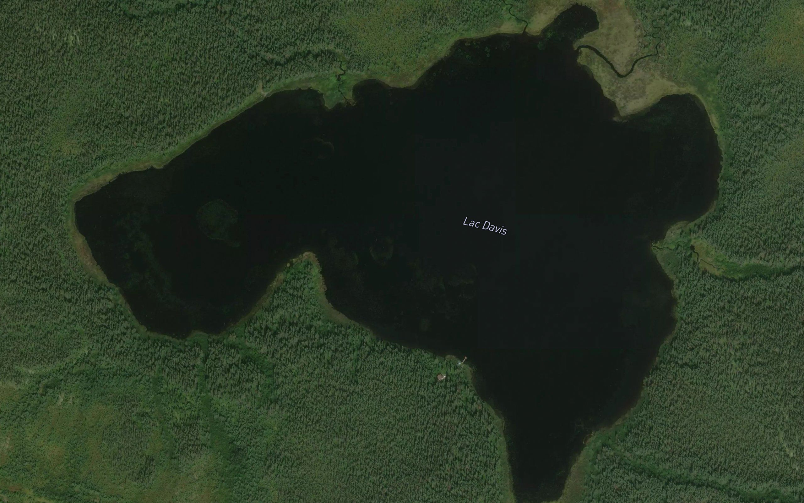 Lac Davis