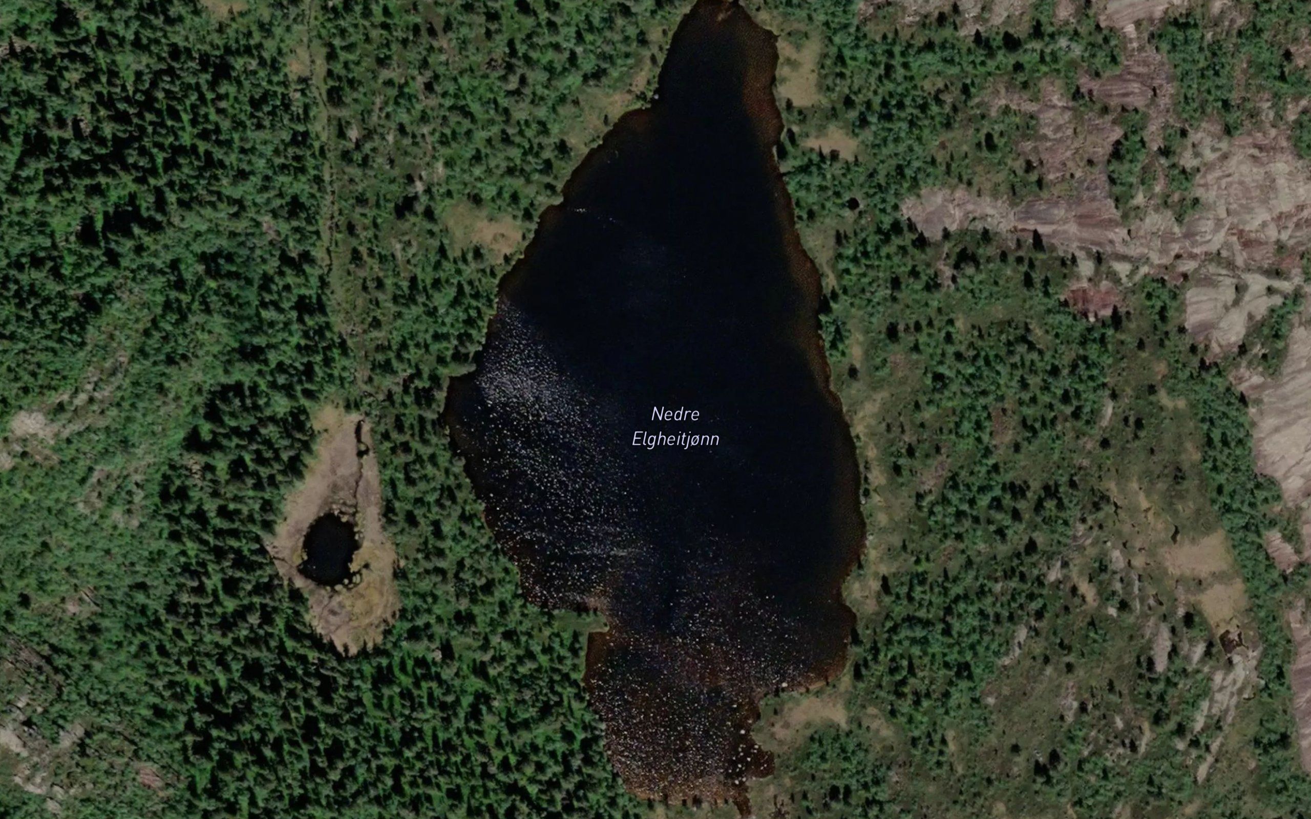 Elgheitjorni,nedre