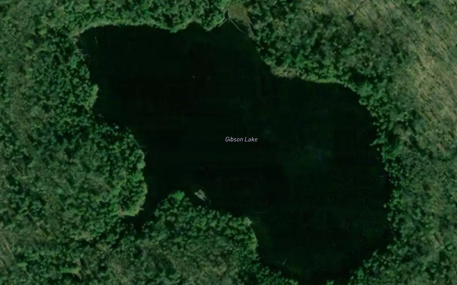 Satellite map of the Gibson Lake