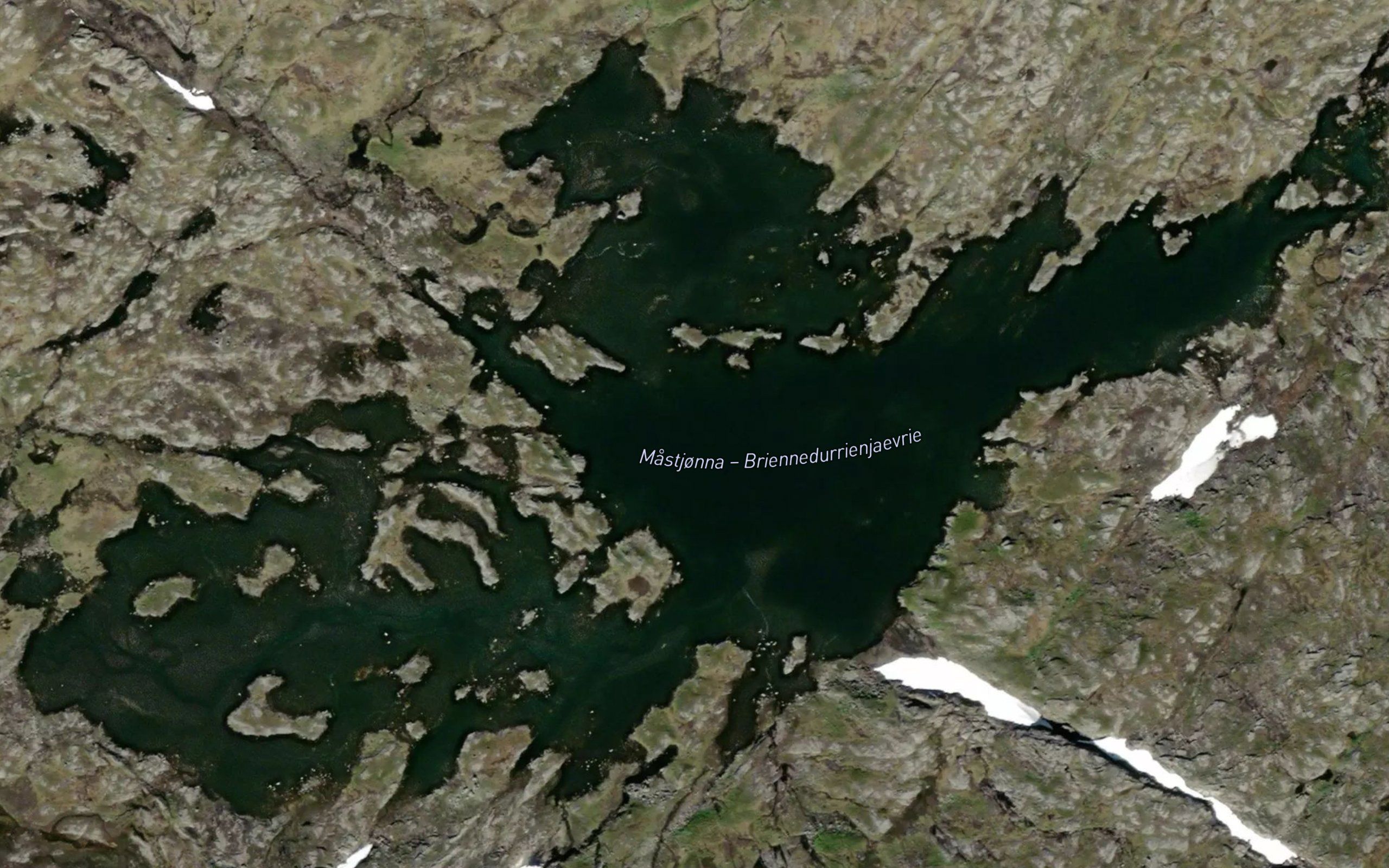 Mastjorna