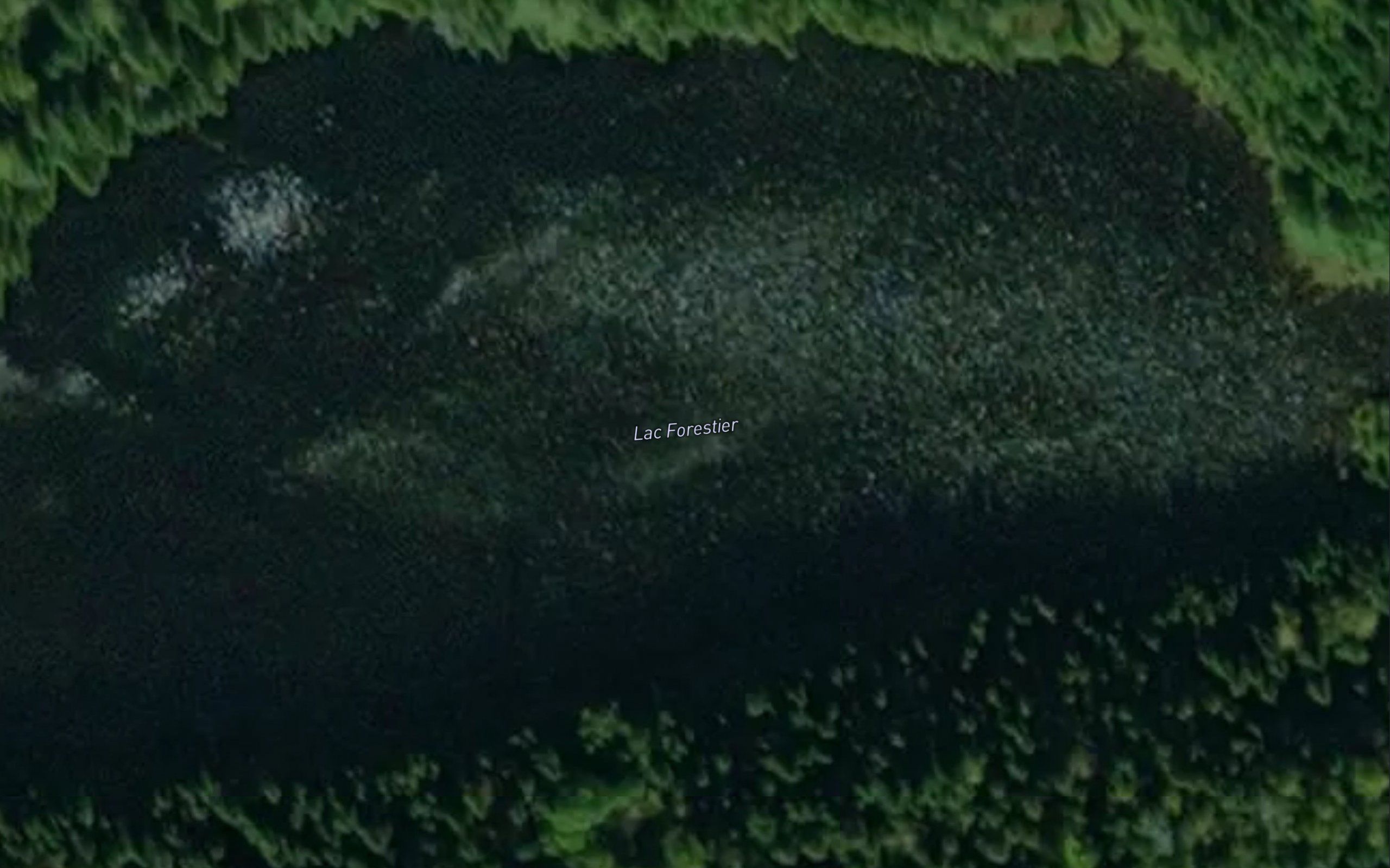 Lac Forestier