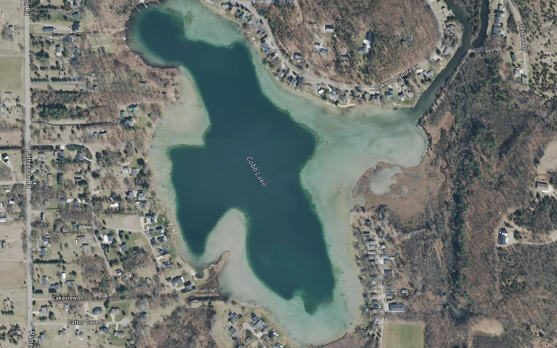Satellite map of the Cobb Lake
