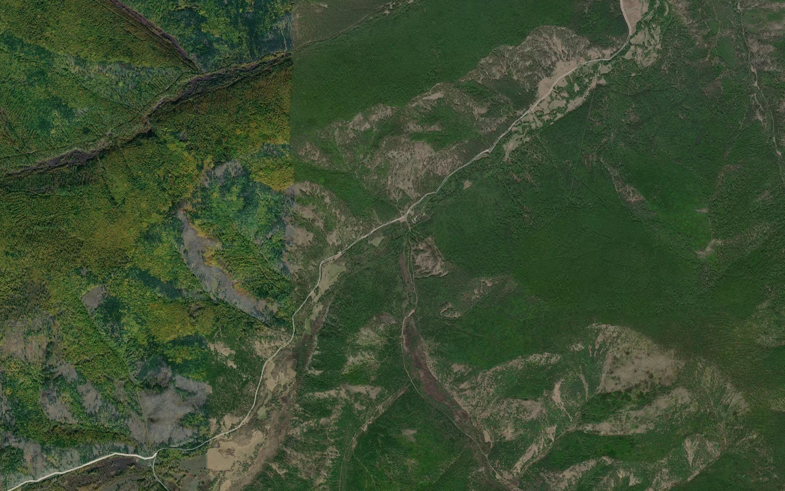 Yamnaya