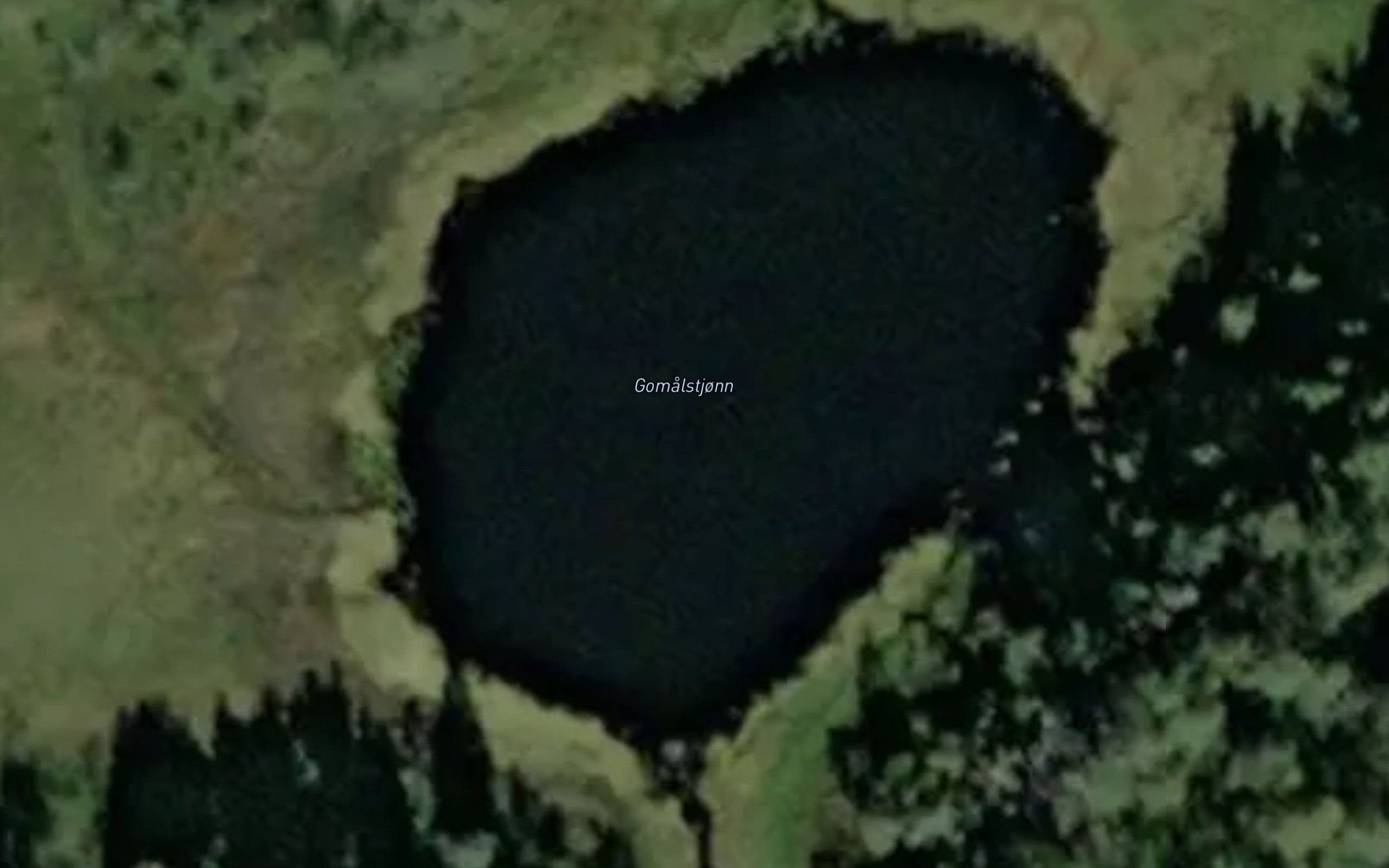 Gomalstjonn
