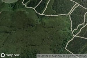 Mangahouhounui Stream