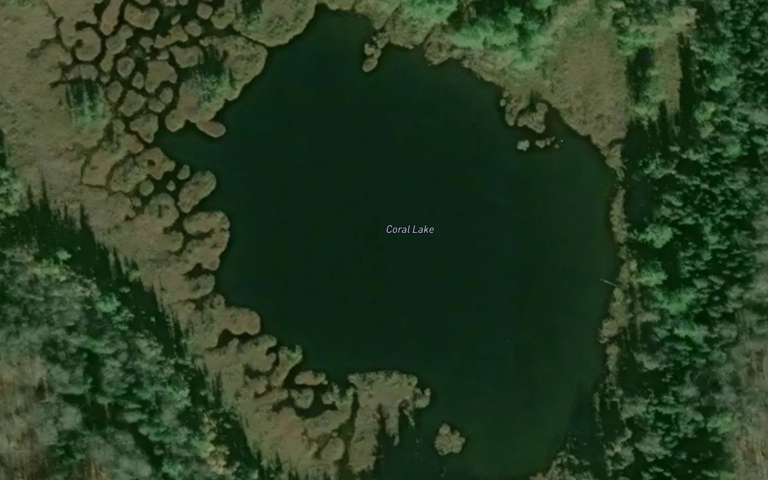 Coral Lake