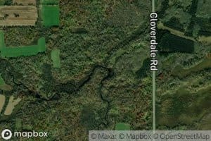Little Bear Creek