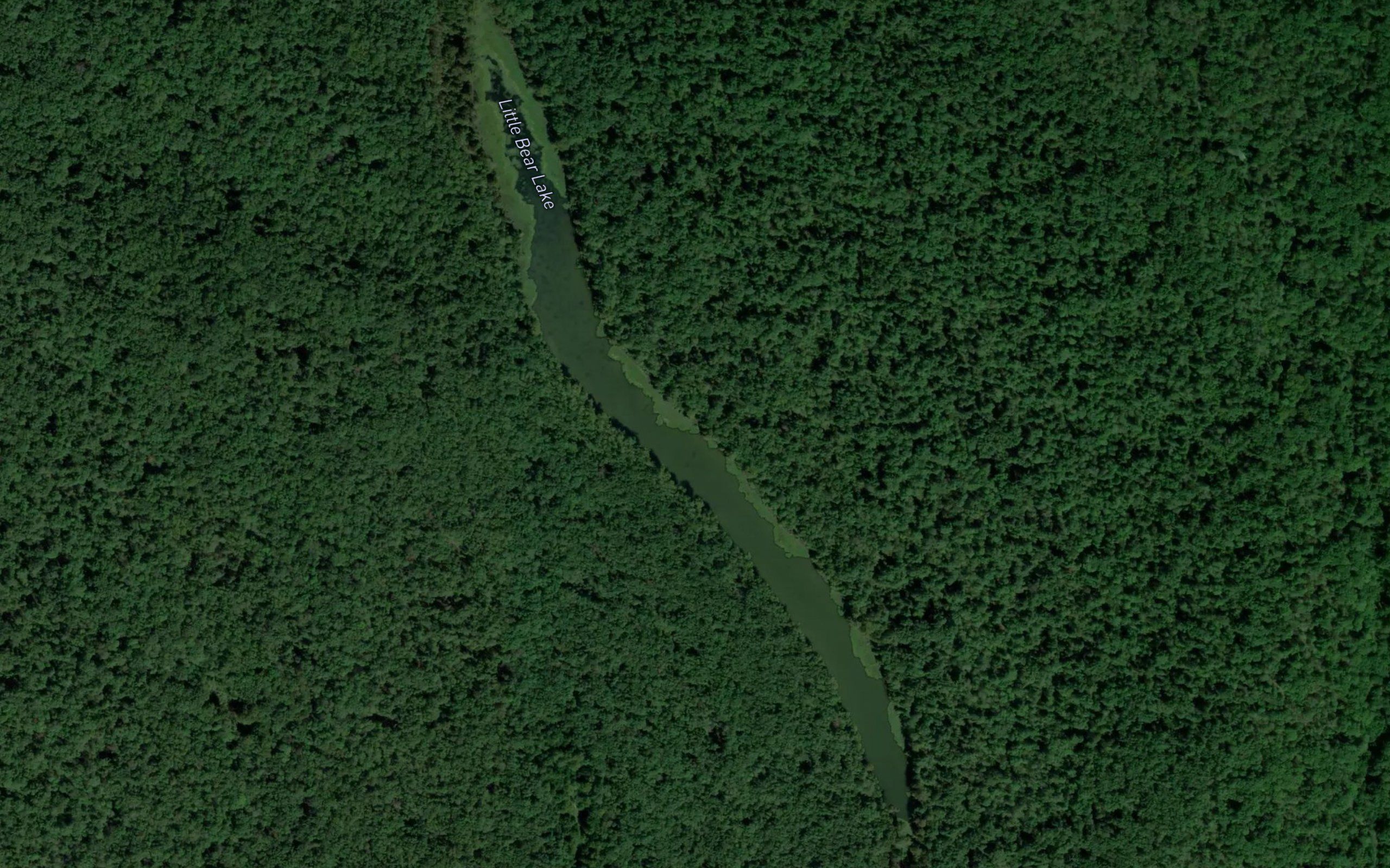 Little Bear Lake