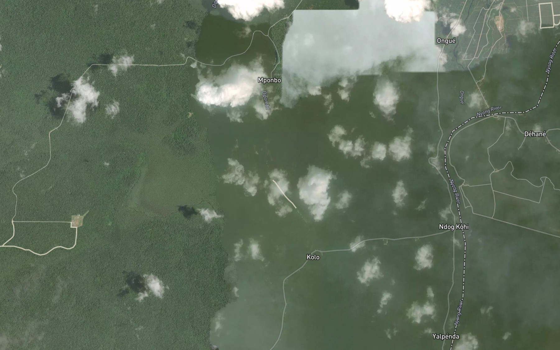 Satellite map of the Ongoue