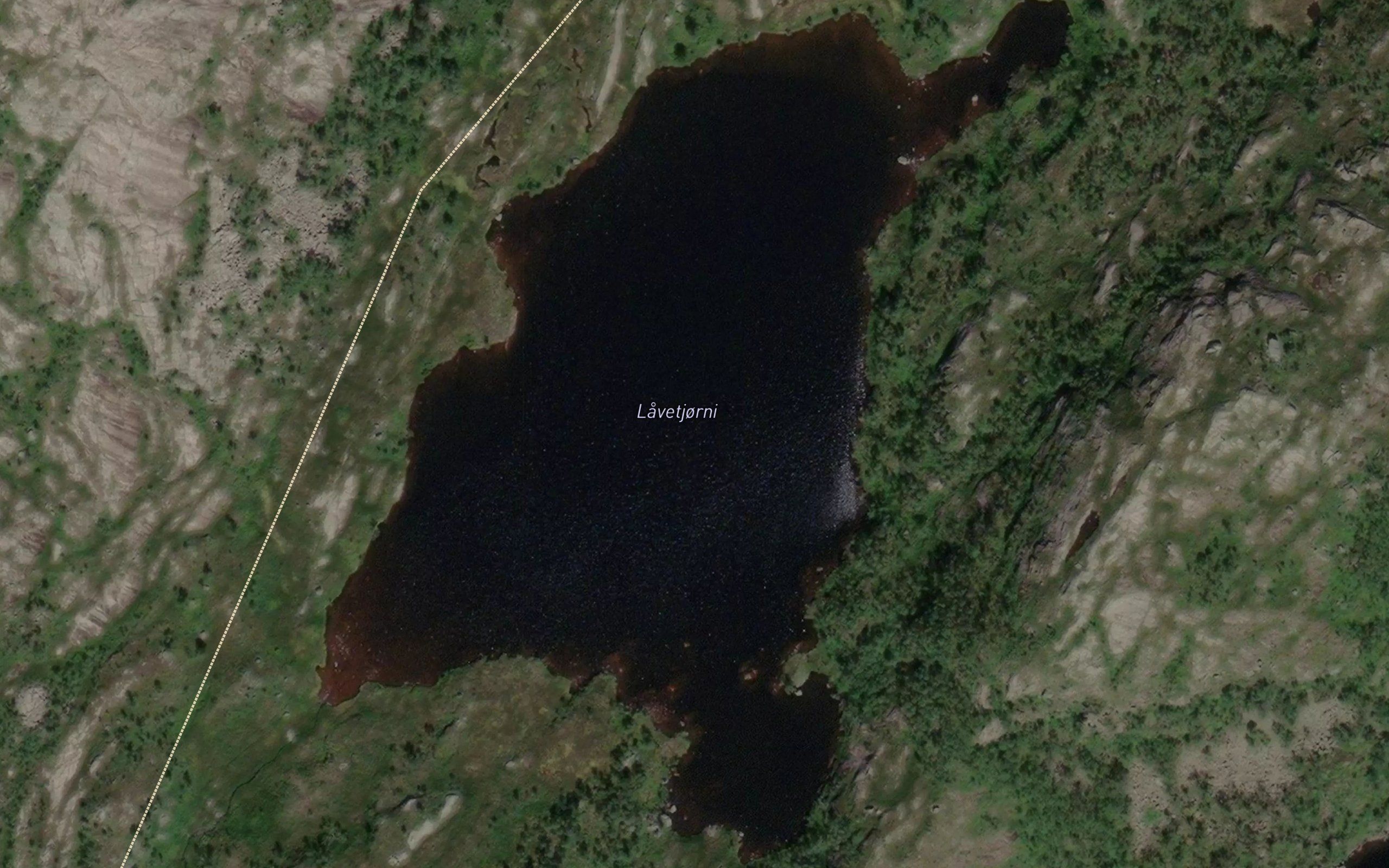 Laretjorn