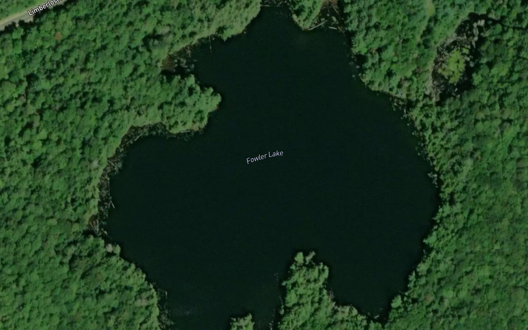 Satellite map of the Fowler Lake