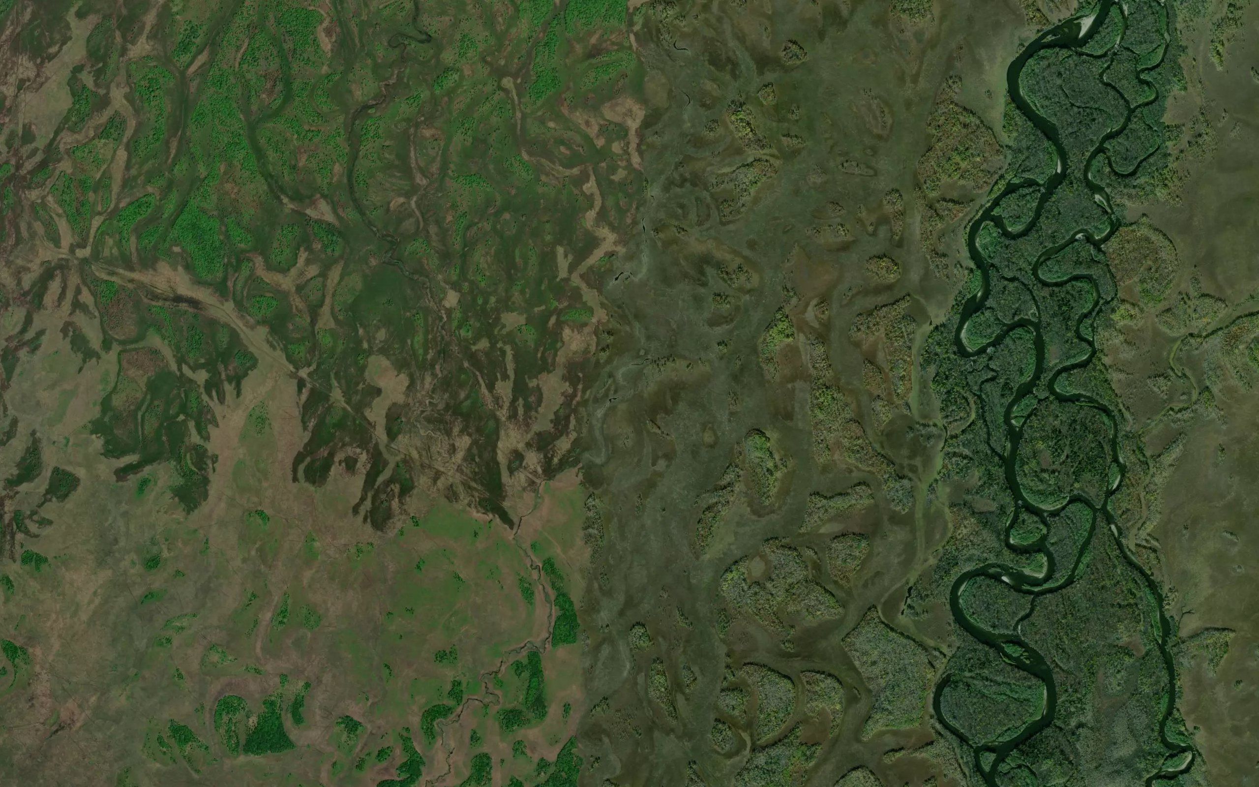 Olgon