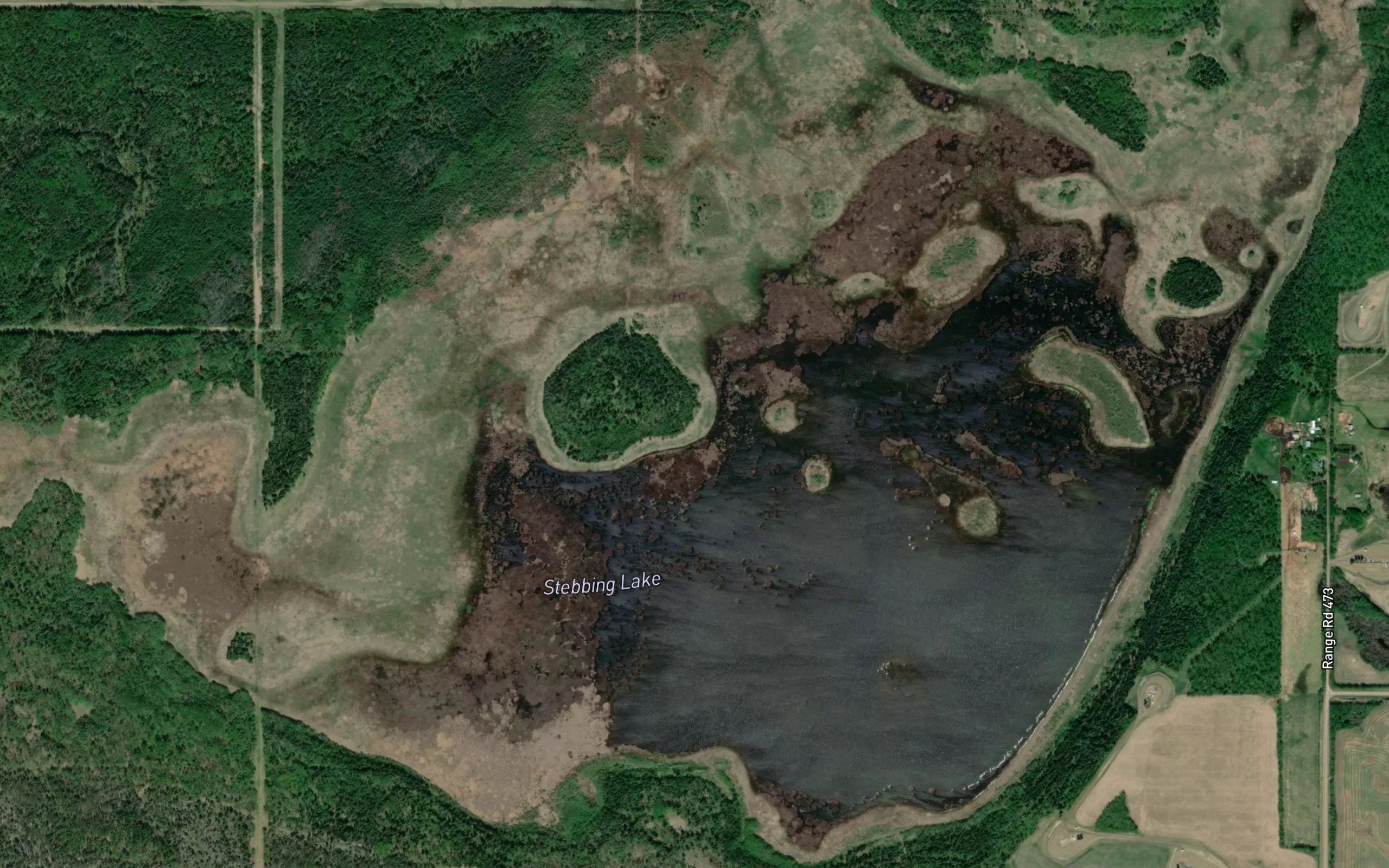 Stebbing Lake