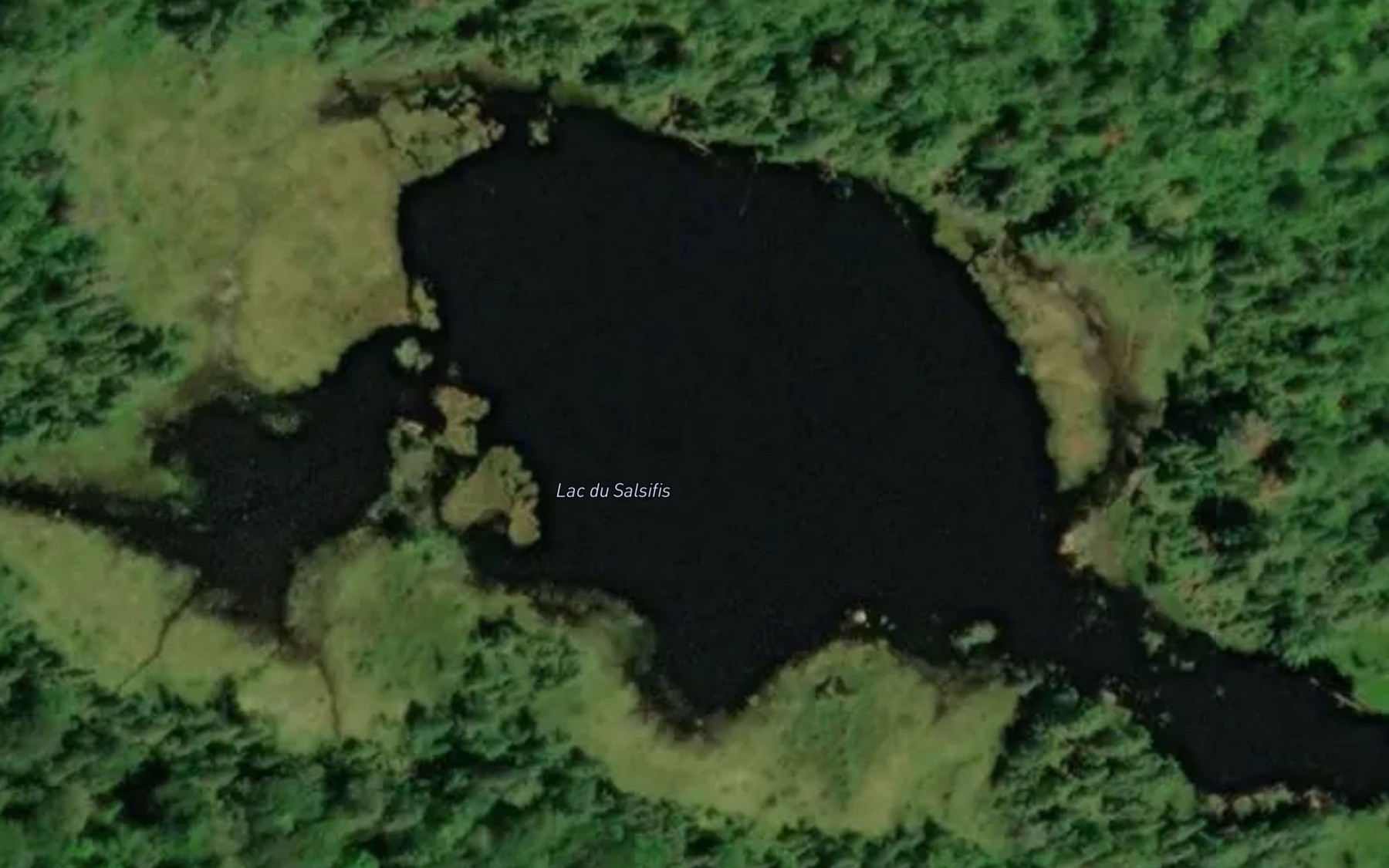 Satellite map of the Lac du Salsifis