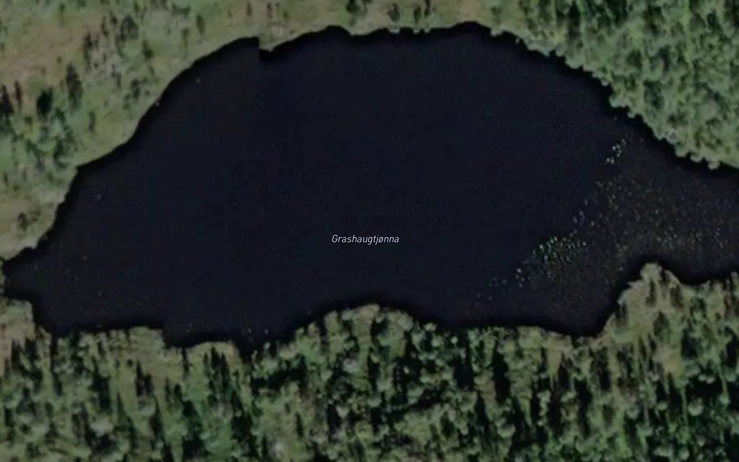 Grashaugtjorna