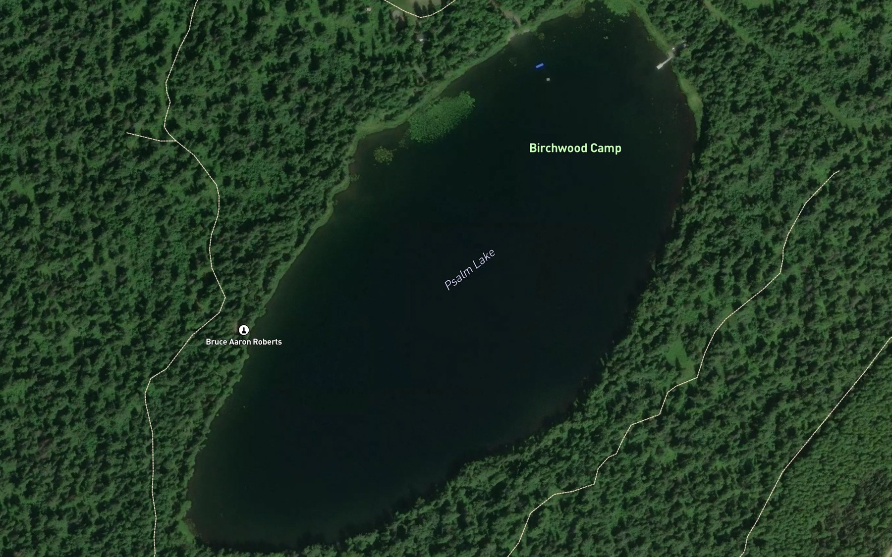 Satellite map of the Psalm Lake