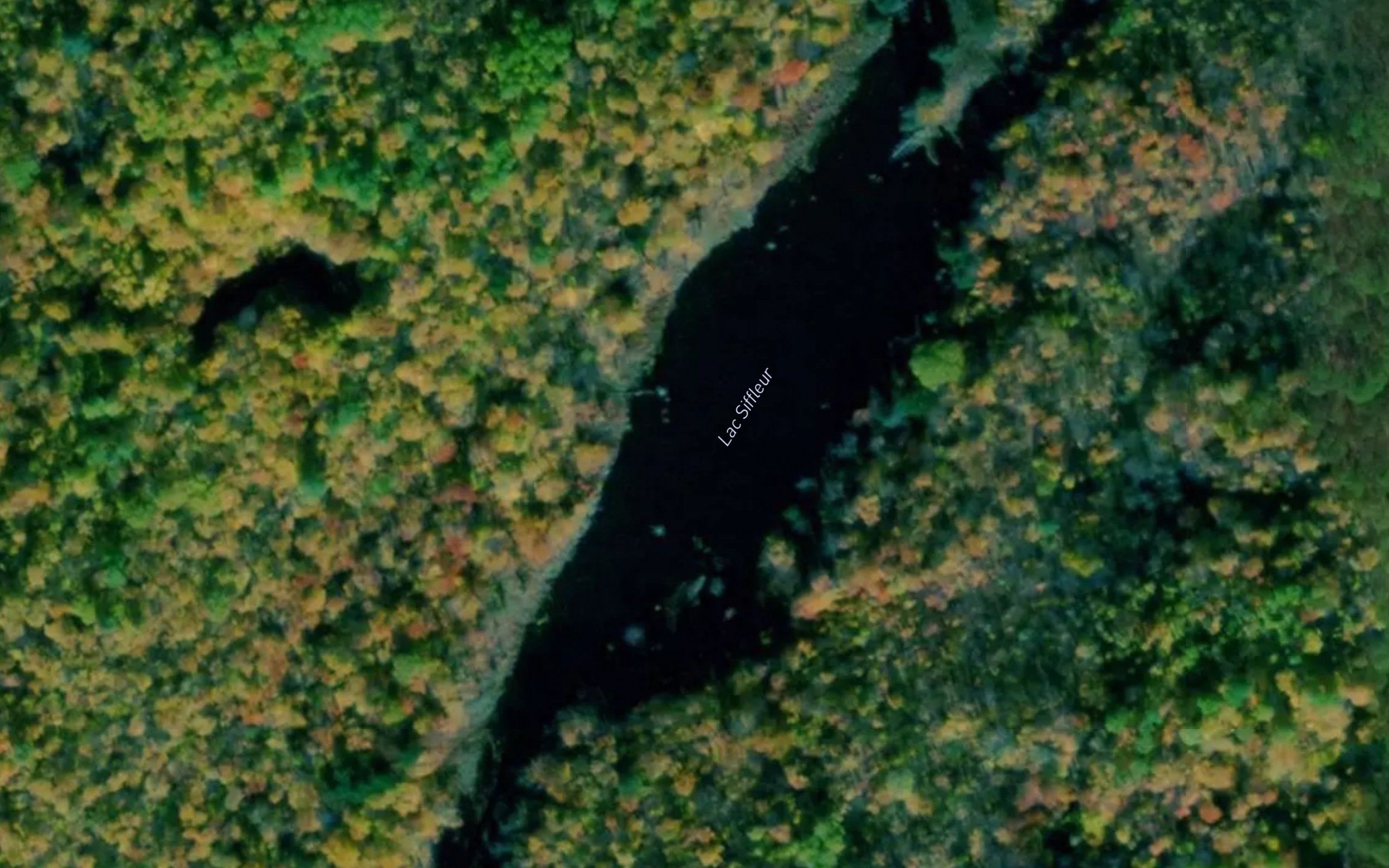 Lac Siffleur