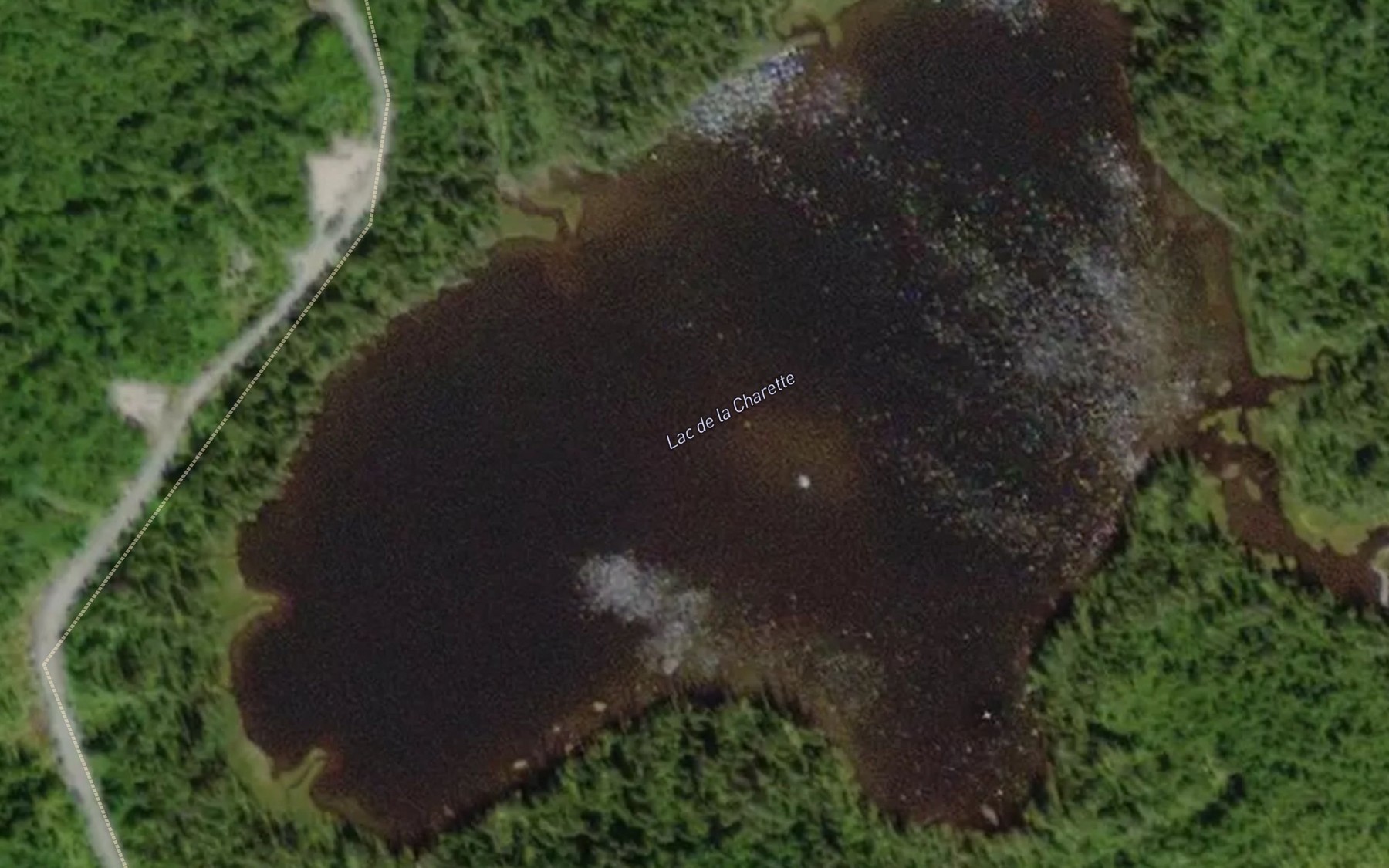 Satellite map of the Lac de la Charette