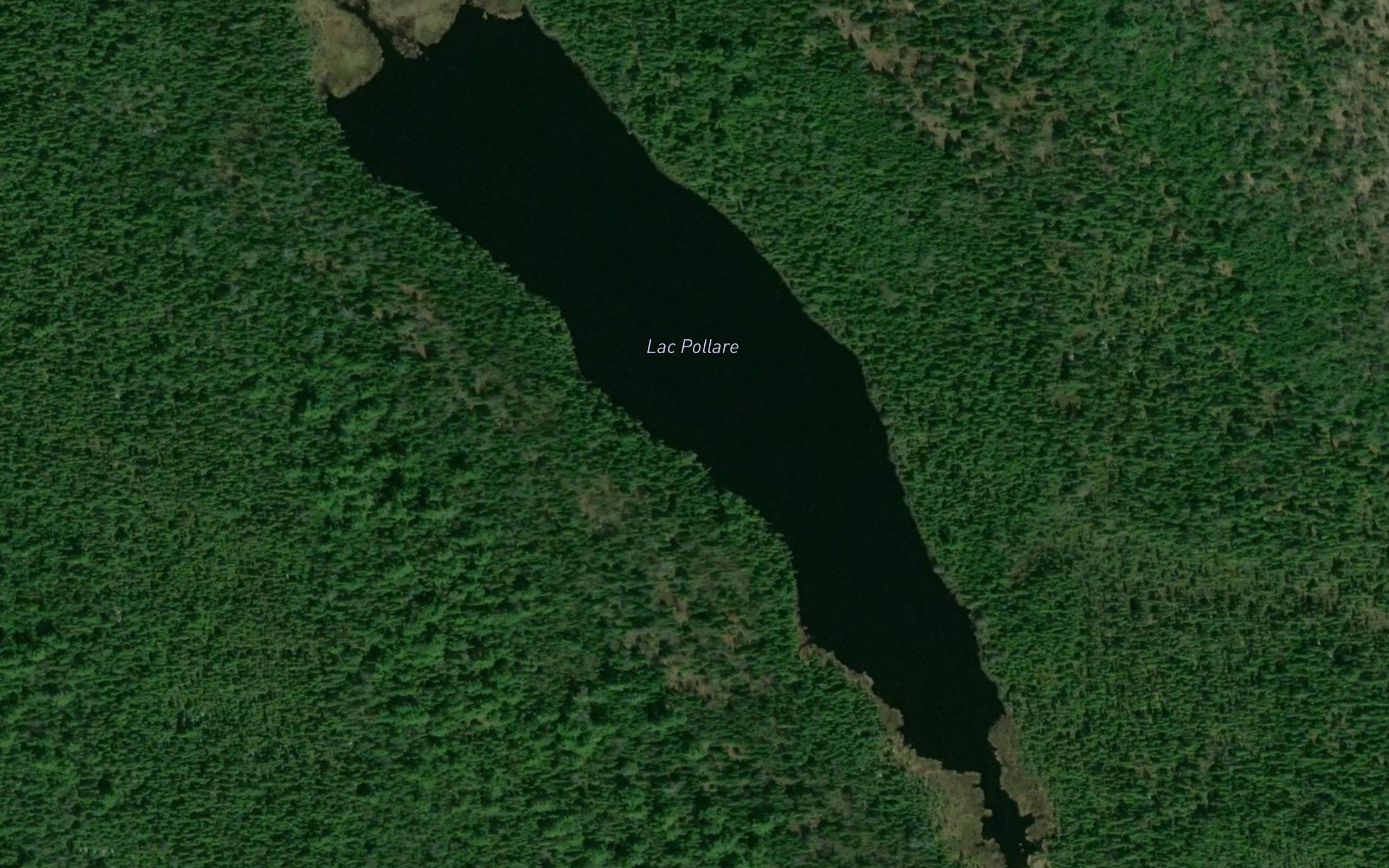 Lac Pollare