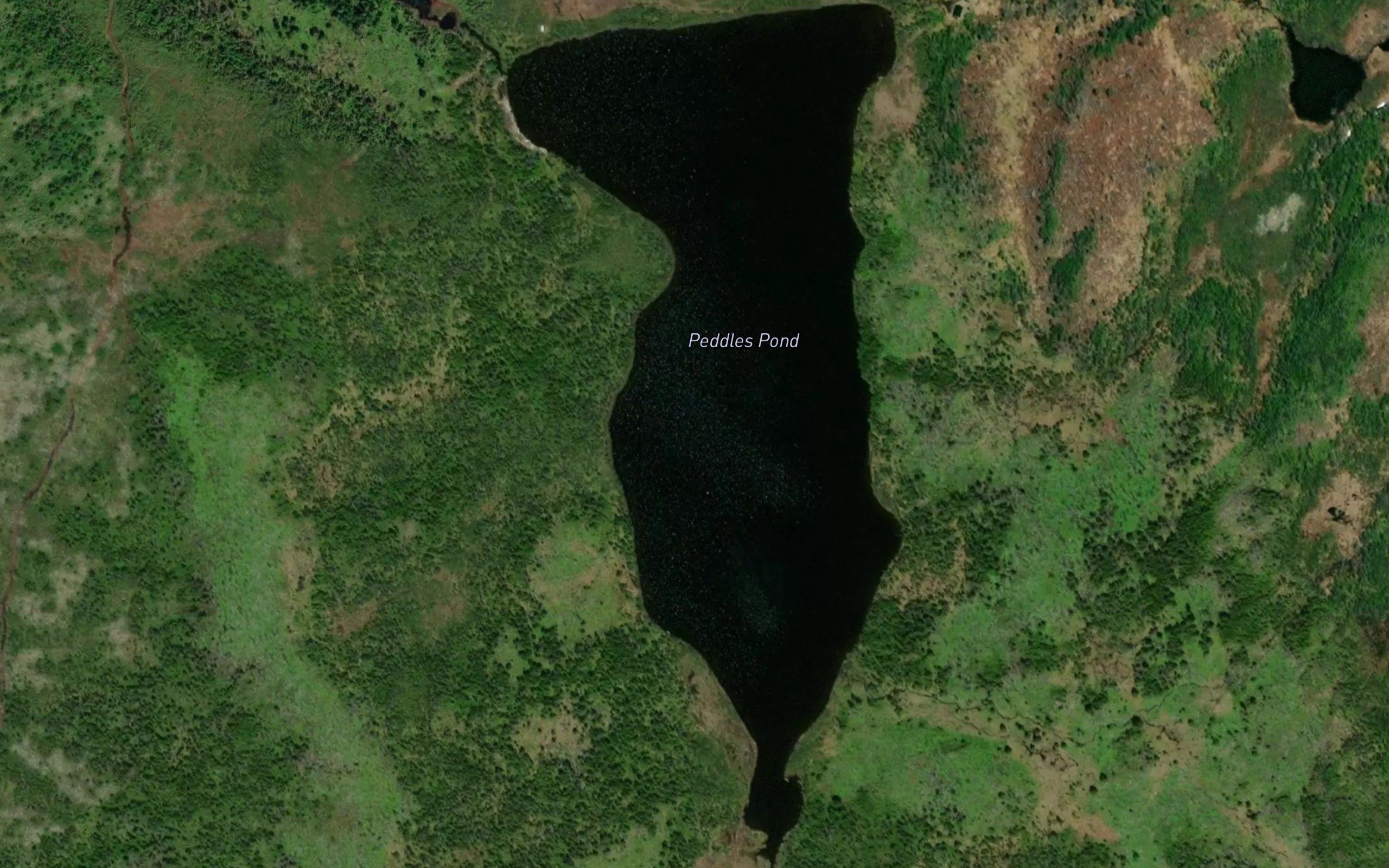 Peddles Pond
