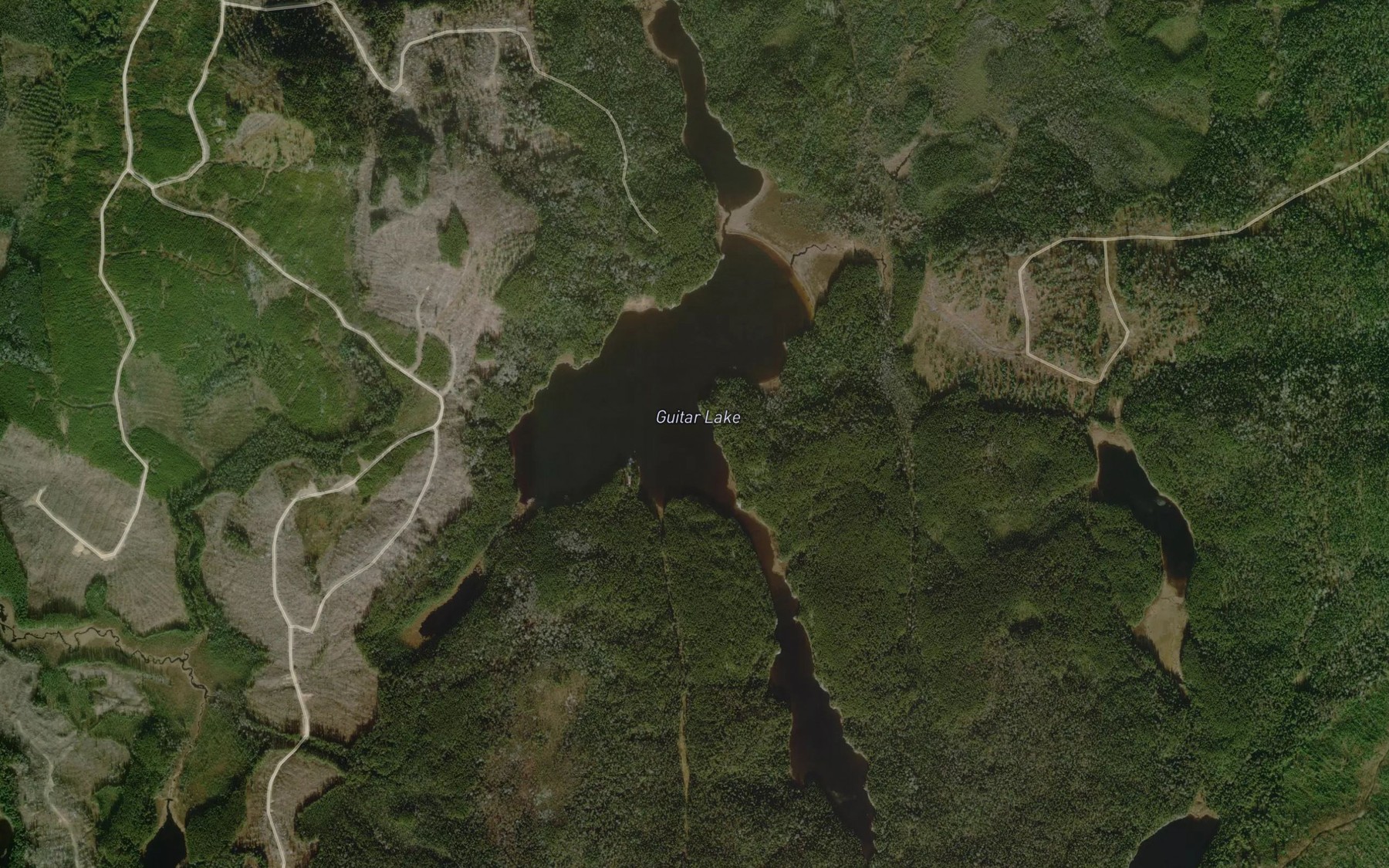 Satellite map of the Guitar Lake