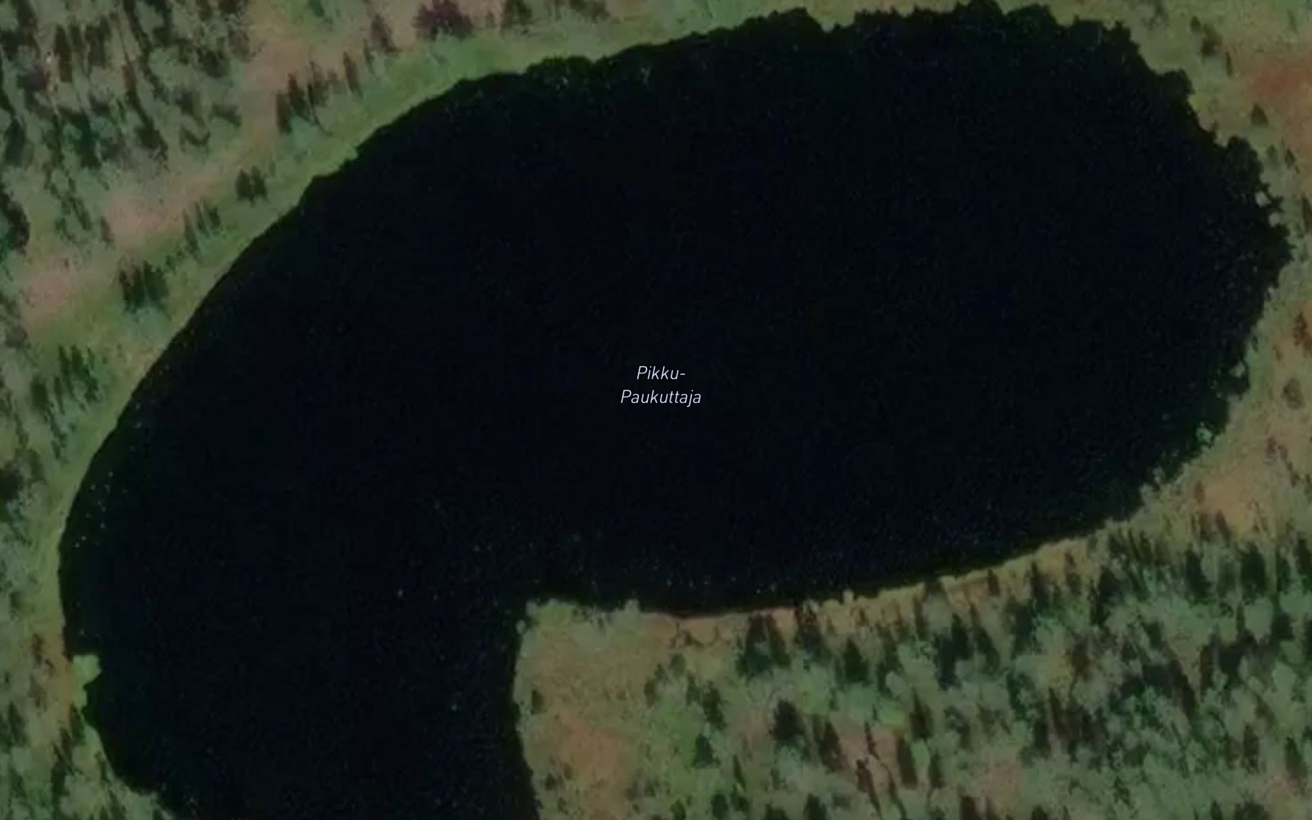 Pikku-Paukuttaja