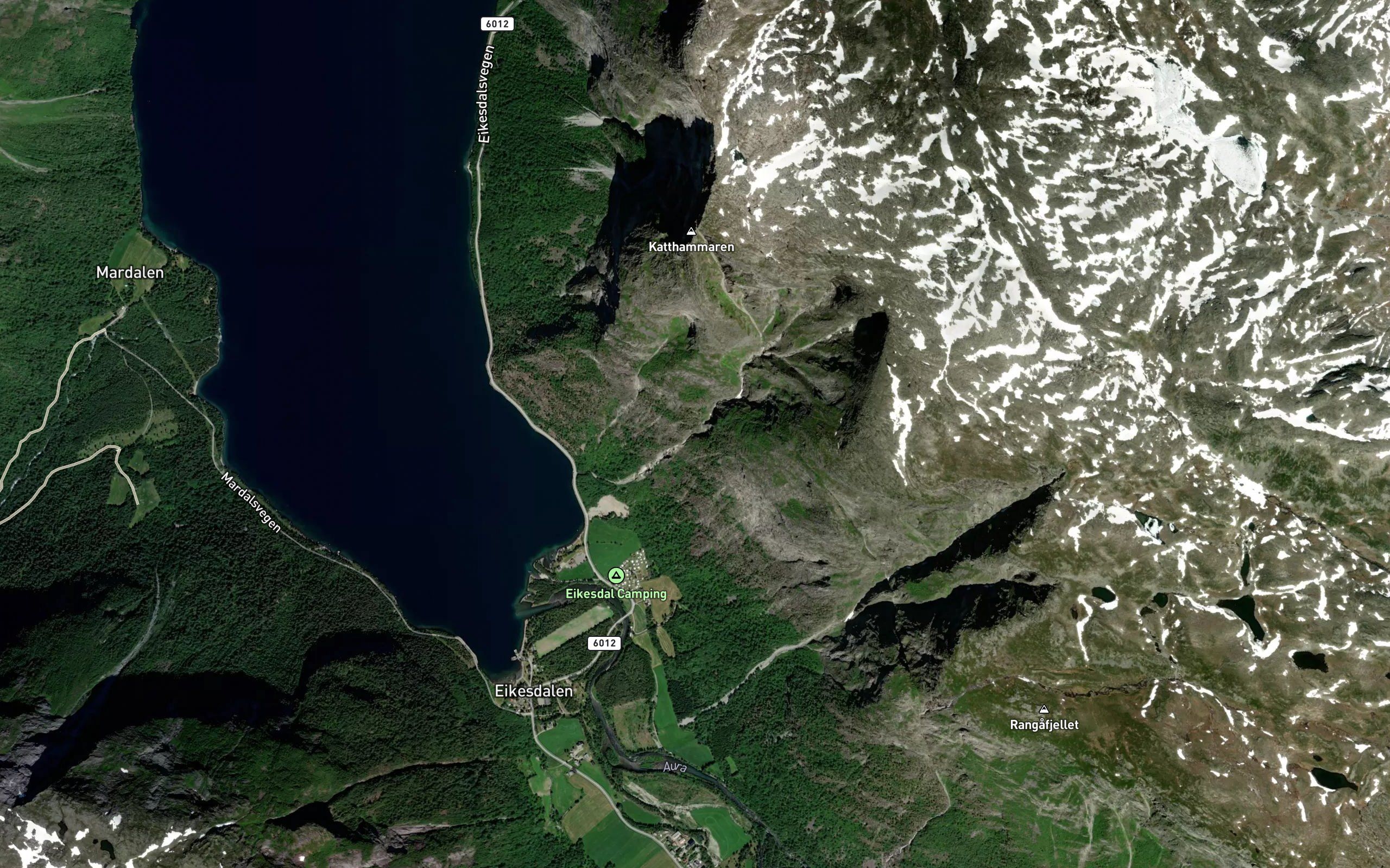 Tyvikgrova