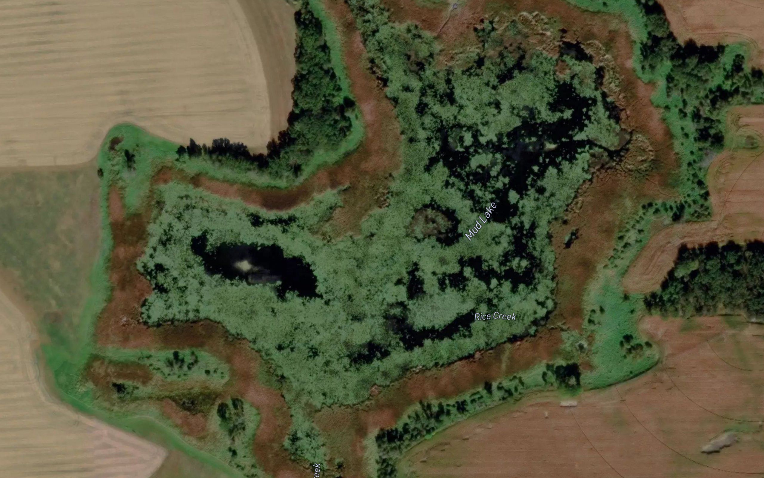 Mud Lake