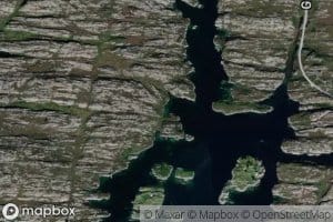 Mjelkevika