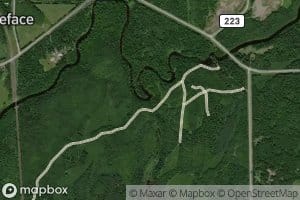 Moonshine Creek
