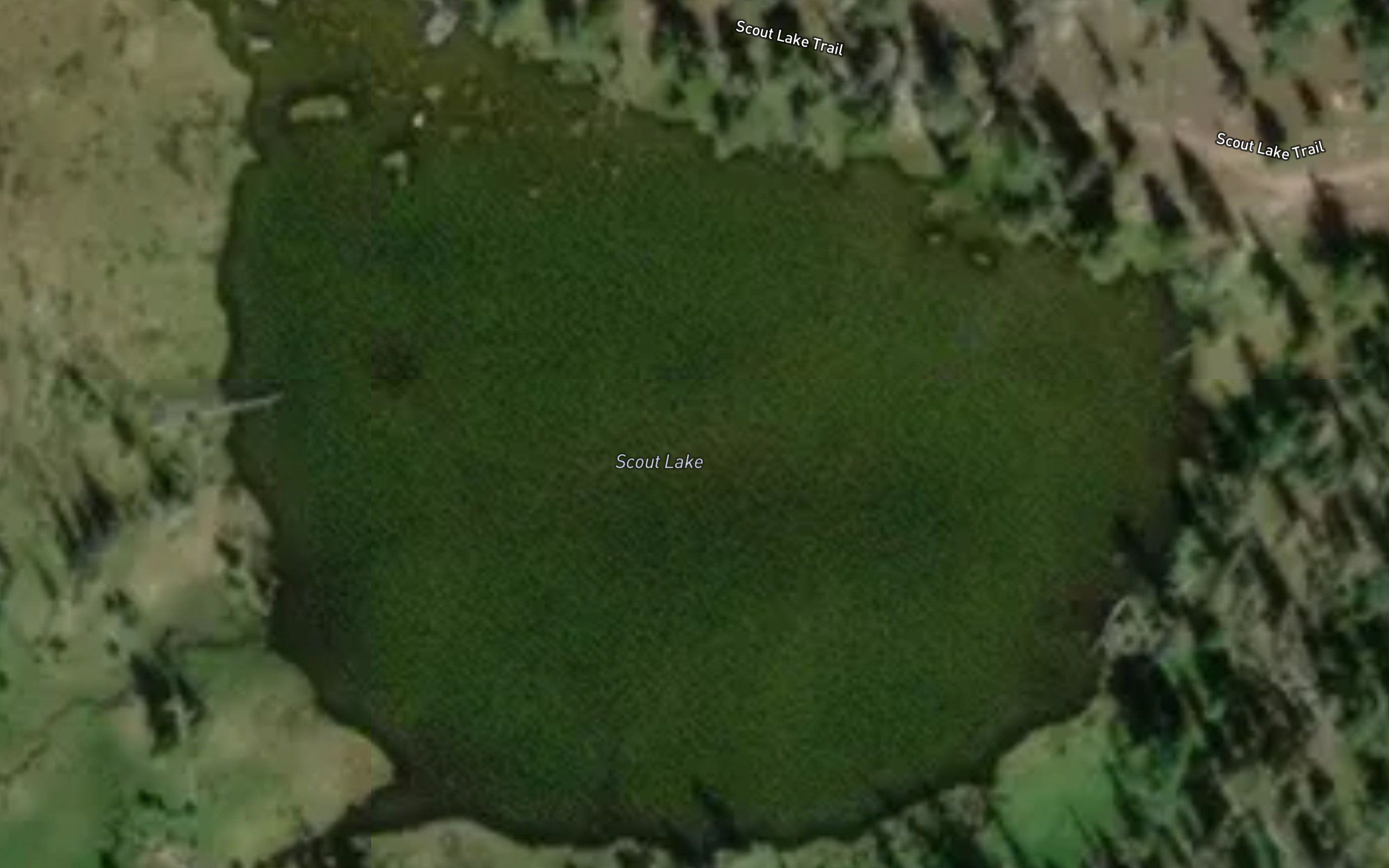 Scout Lake