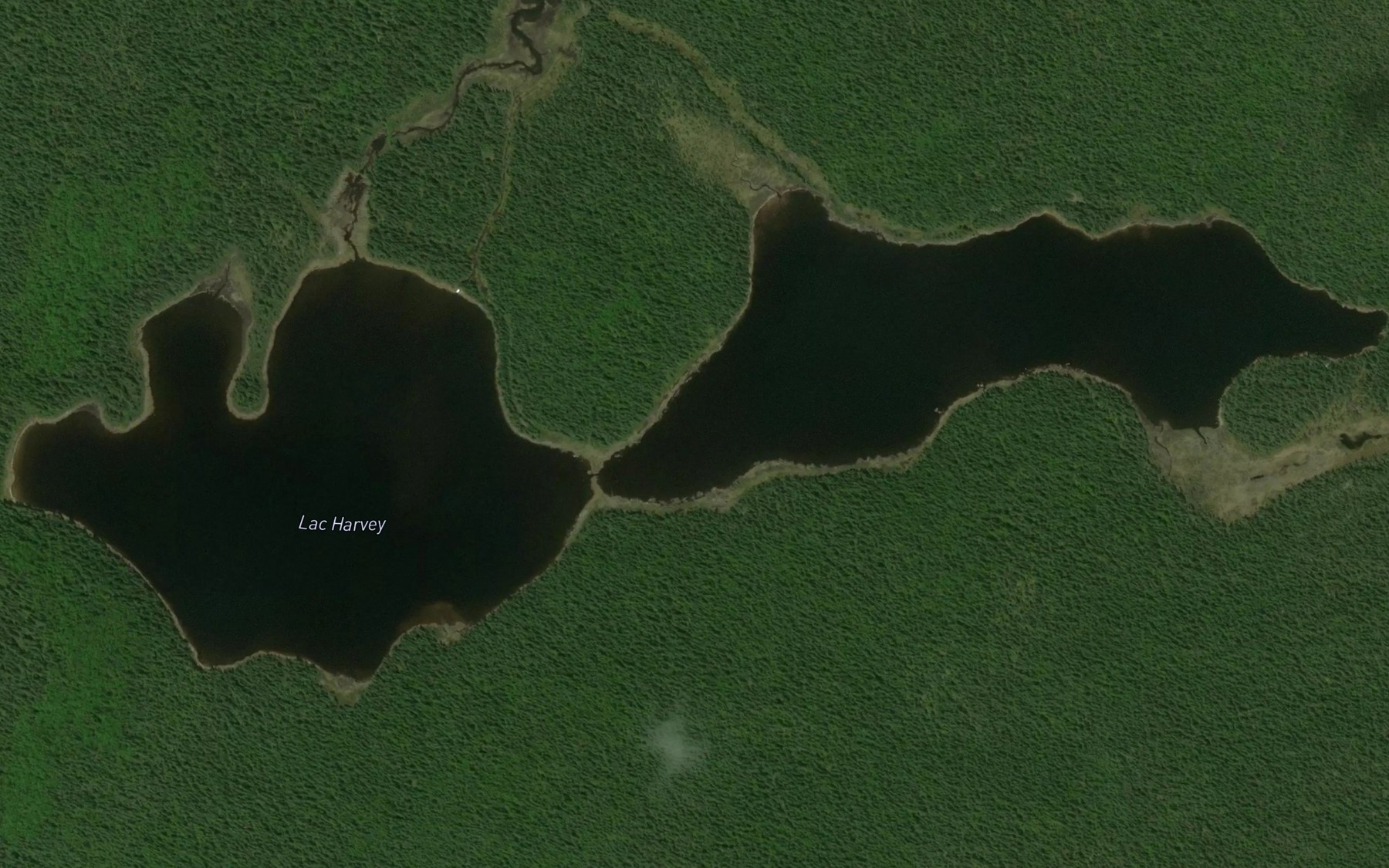 Satellite map of the Lac Harvey