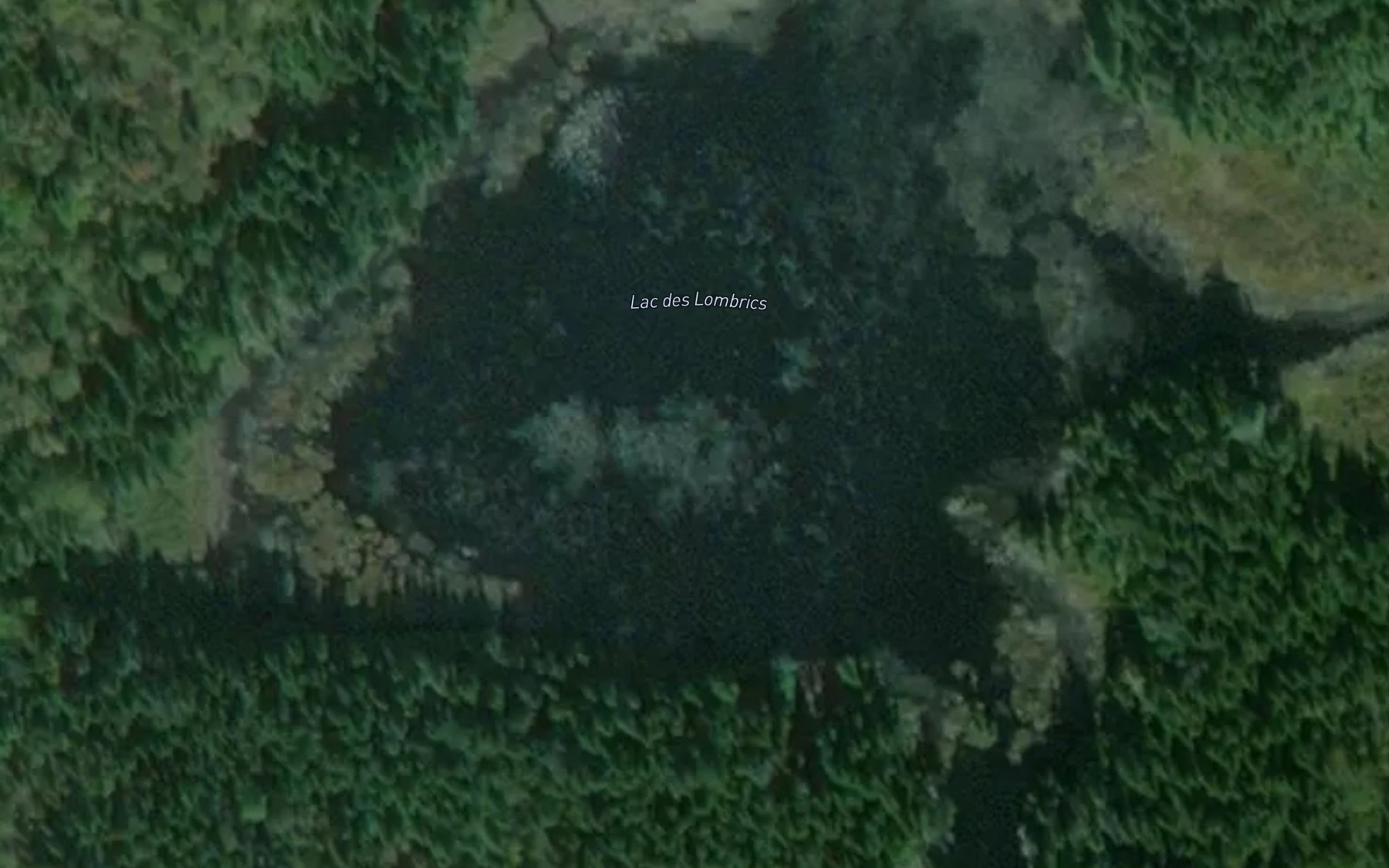 Satellite map of the Lac des Lombrics
