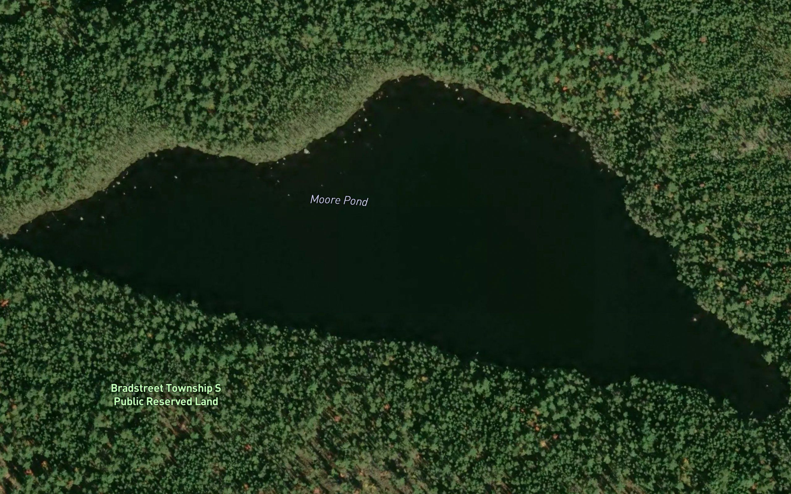 Moore Pond