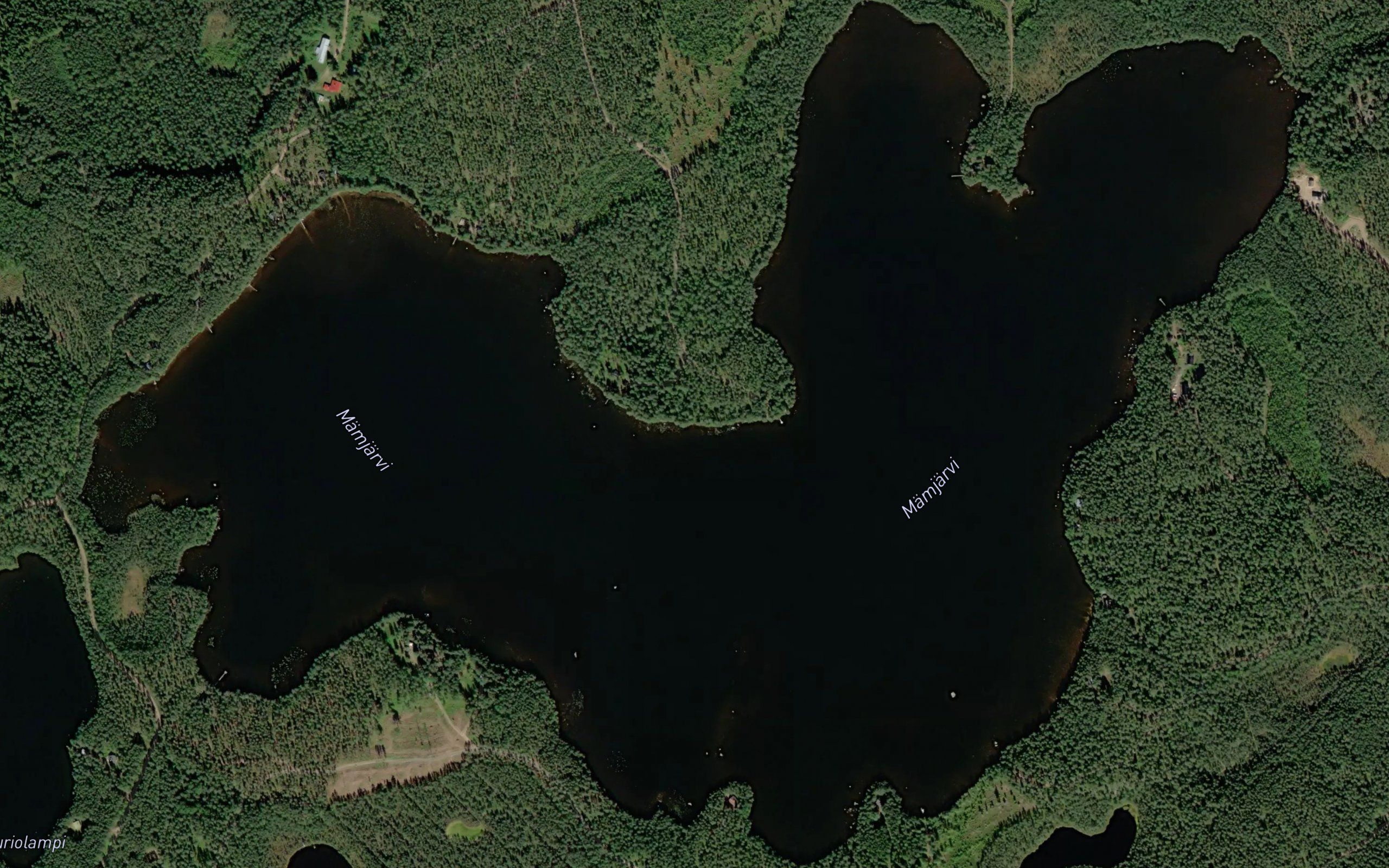 Mamjarvi
