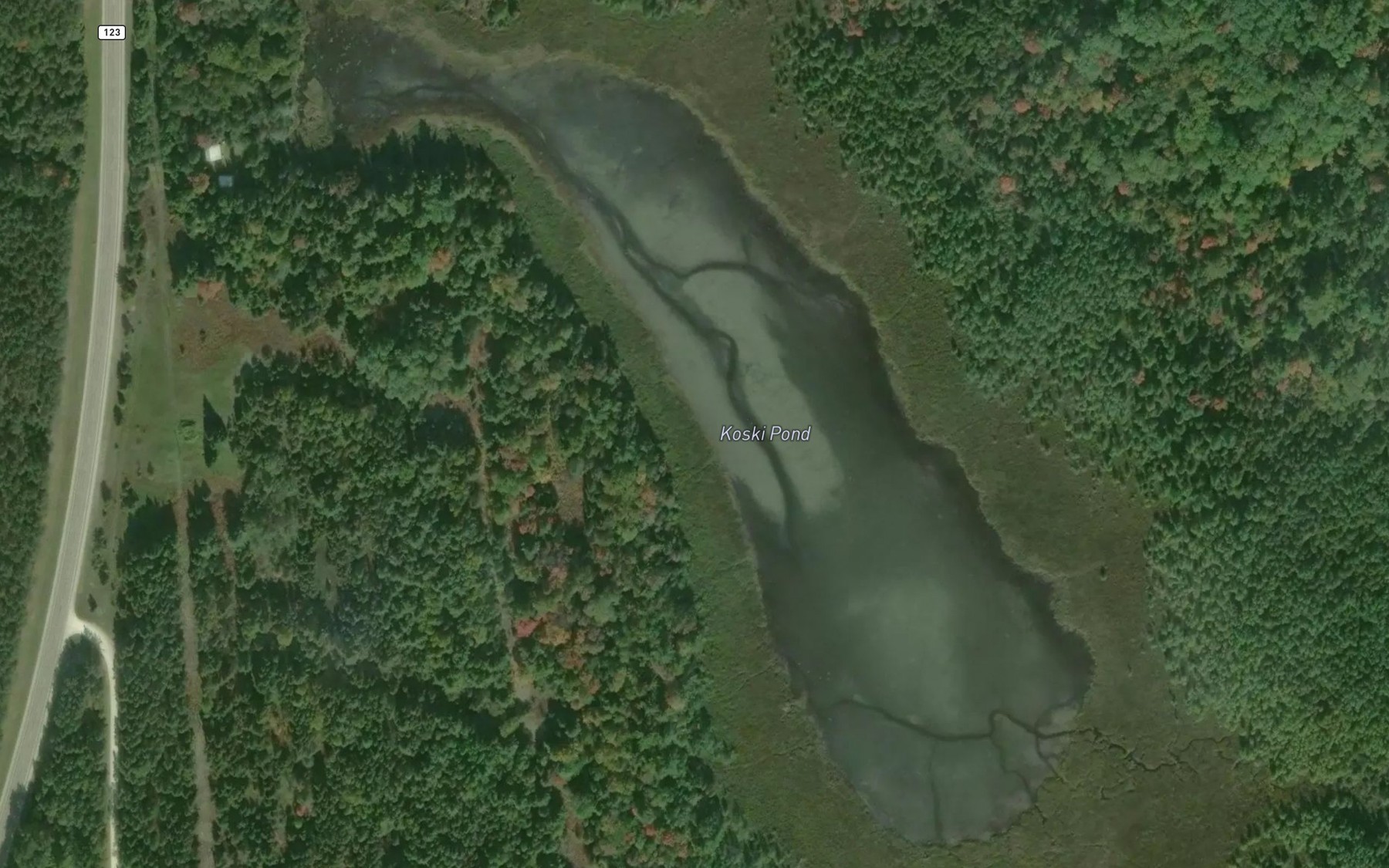 Satellite map of the Koski Pond