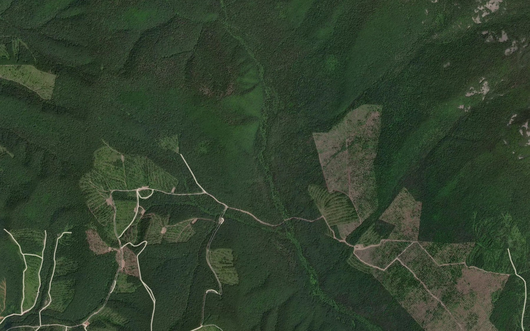 Satellite map of the Kamenistyy