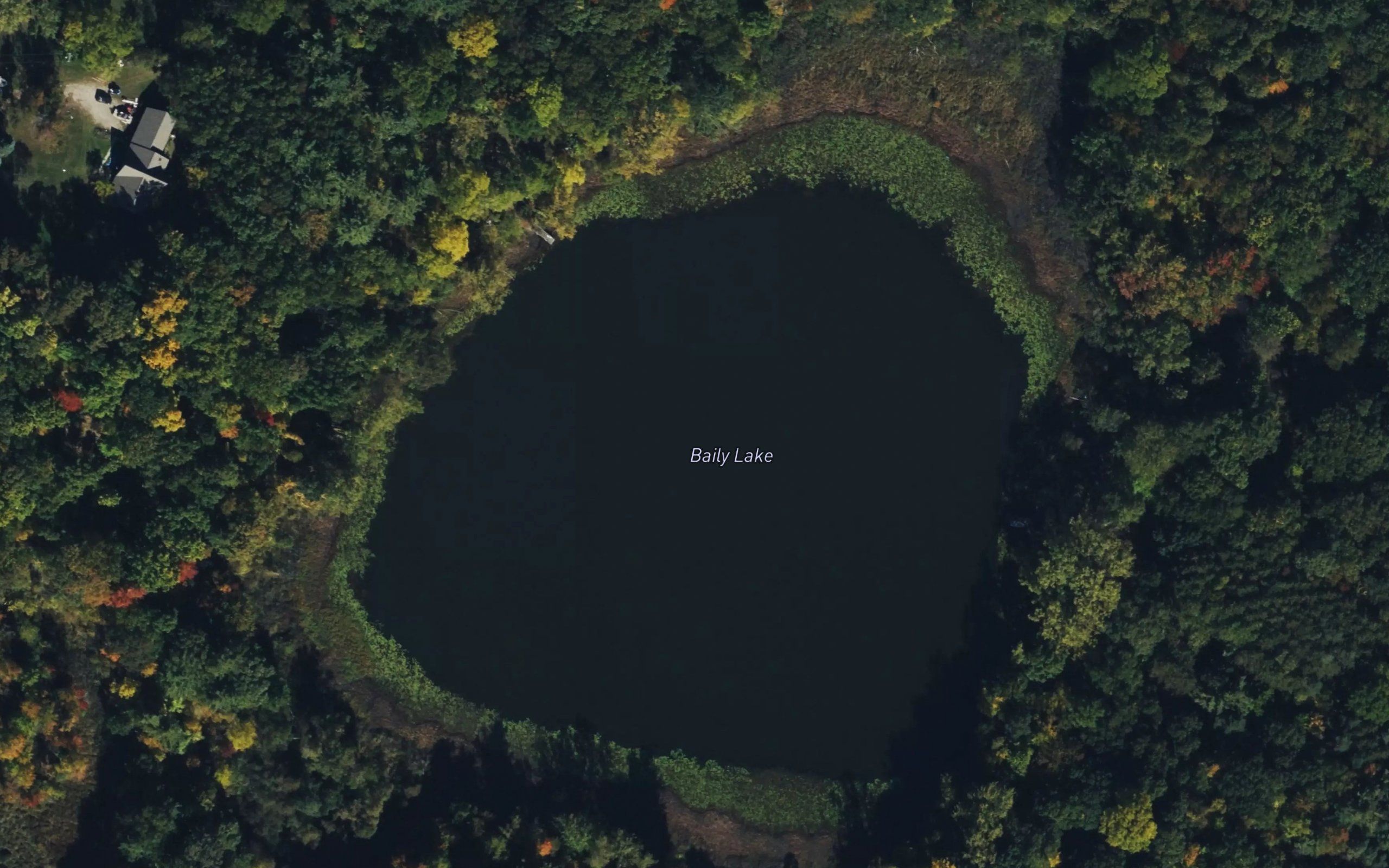 Baily Lake
