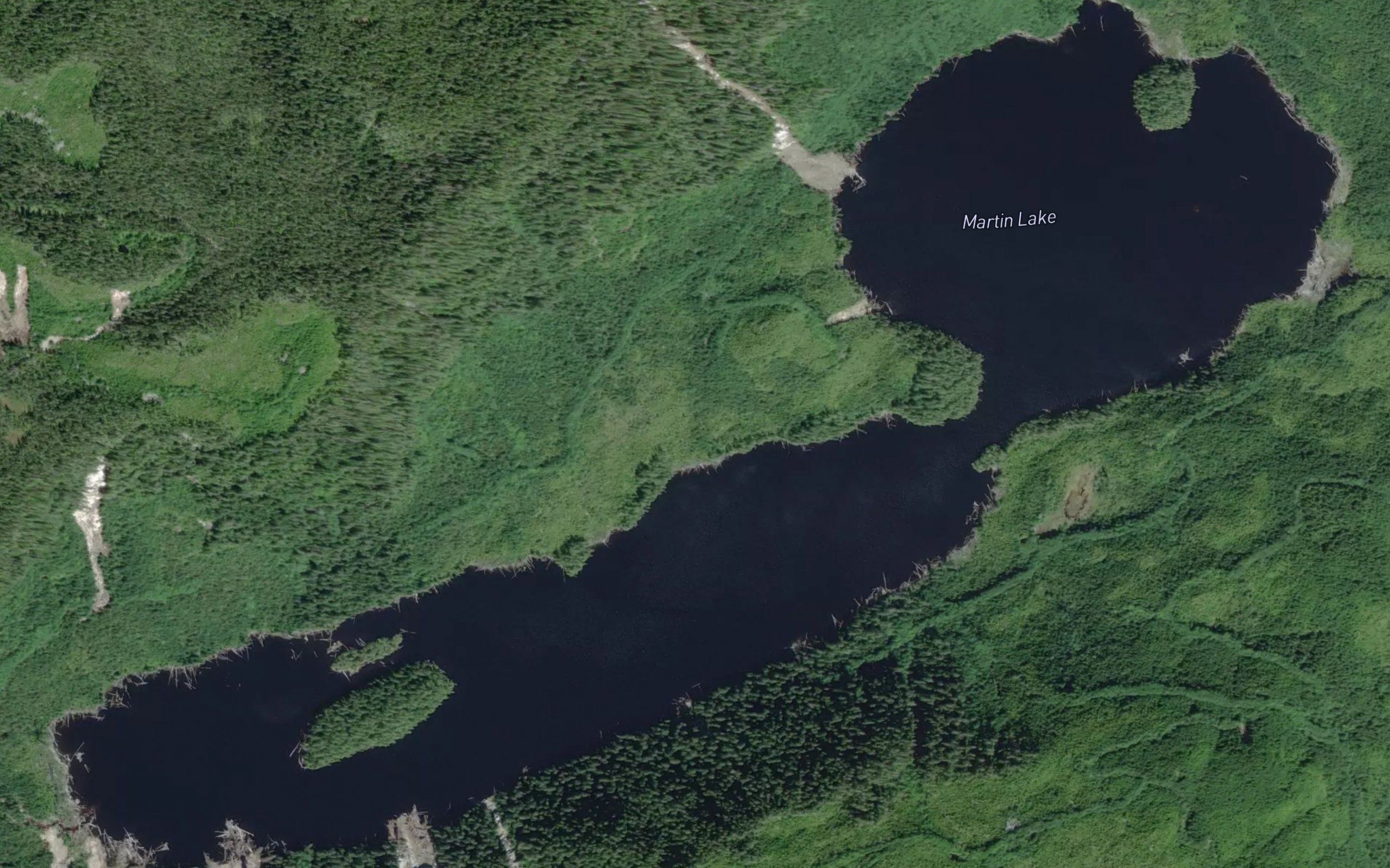 Martin Lake
