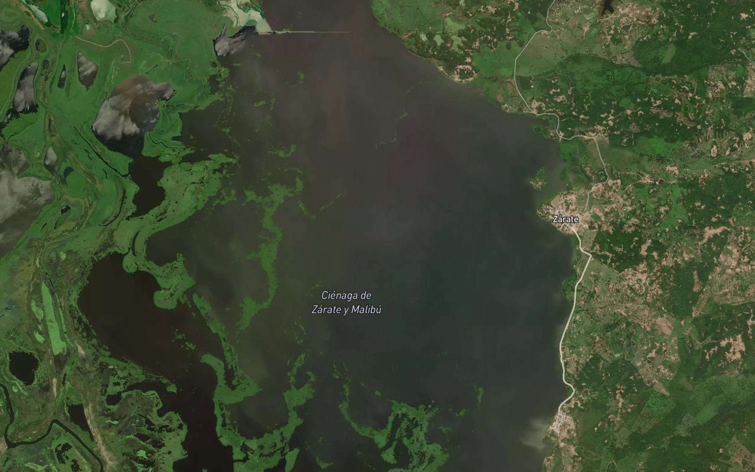 Cienaga de Zarate