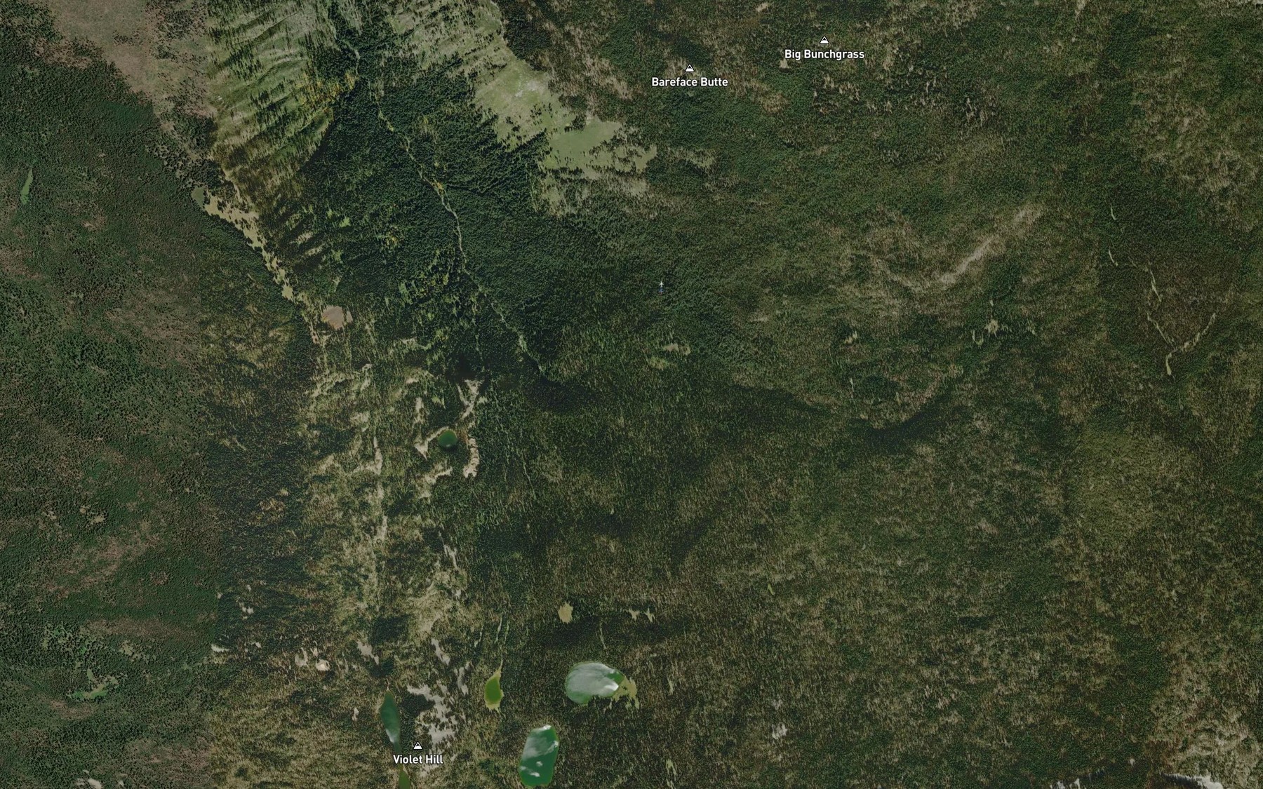 Satellite map of the Honeymoon Creek