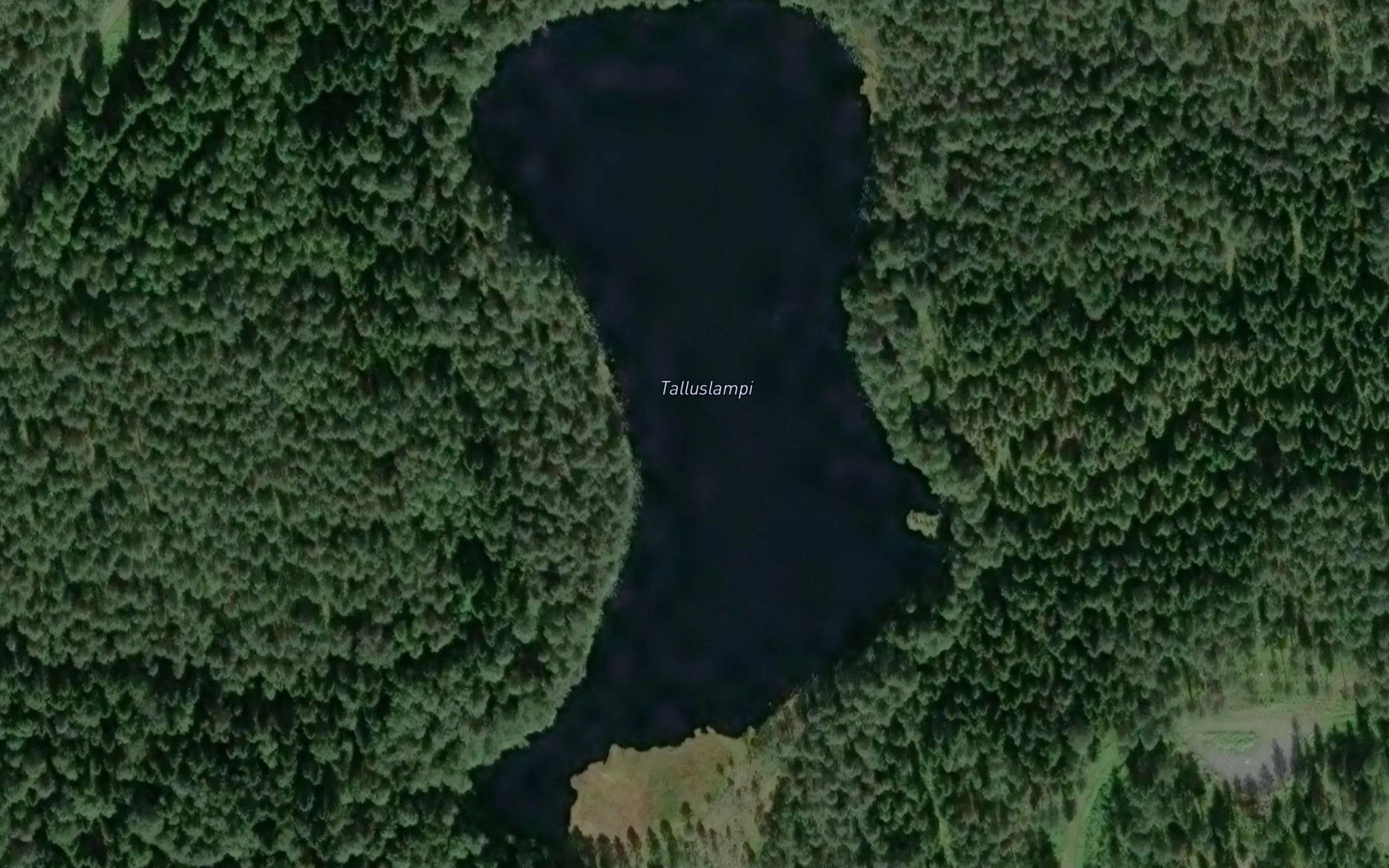 Talluslammi