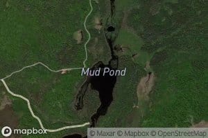 Mud Pond