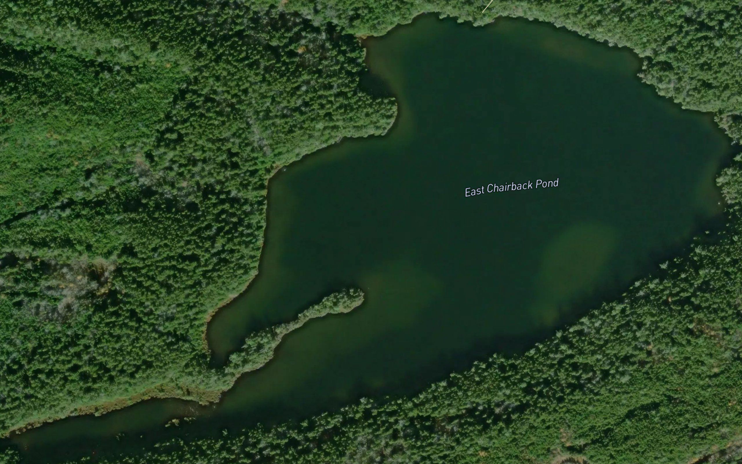 East Chairback Pond
