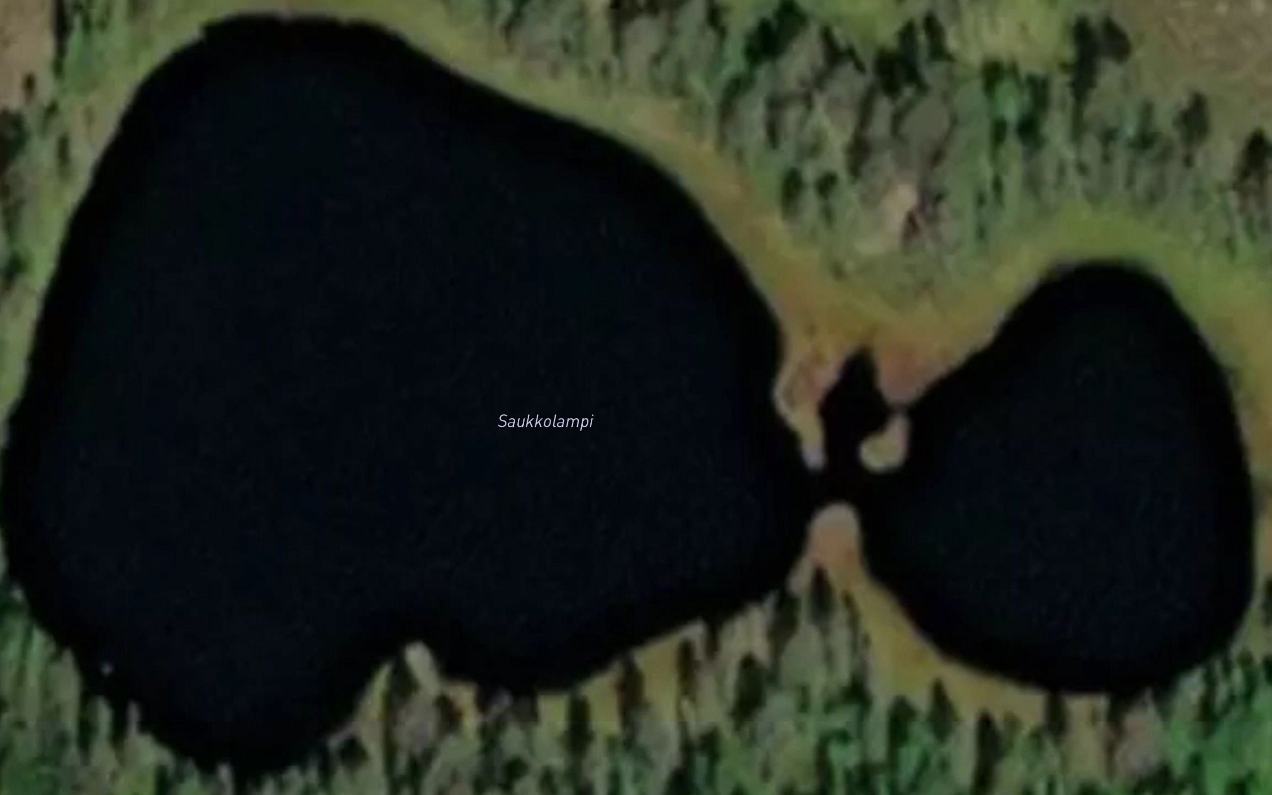 Saukkolampi