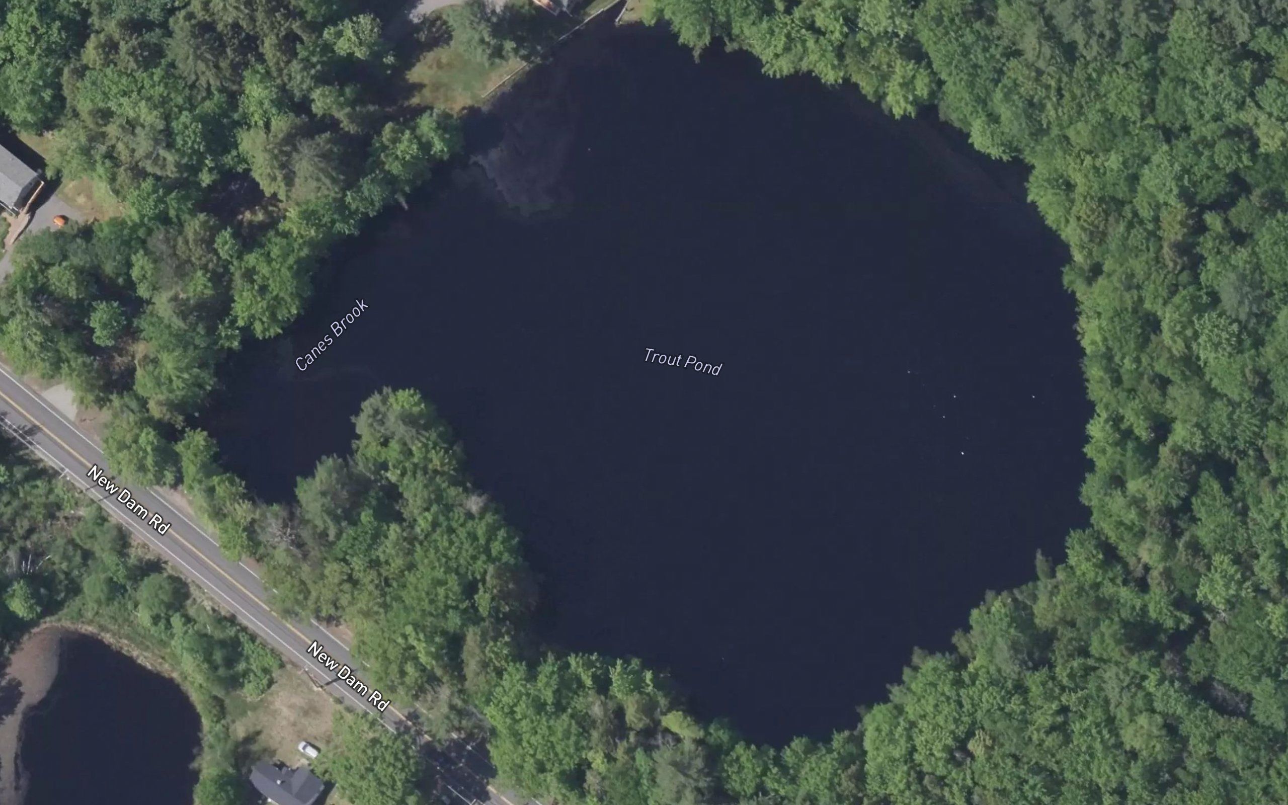 Trout Pond