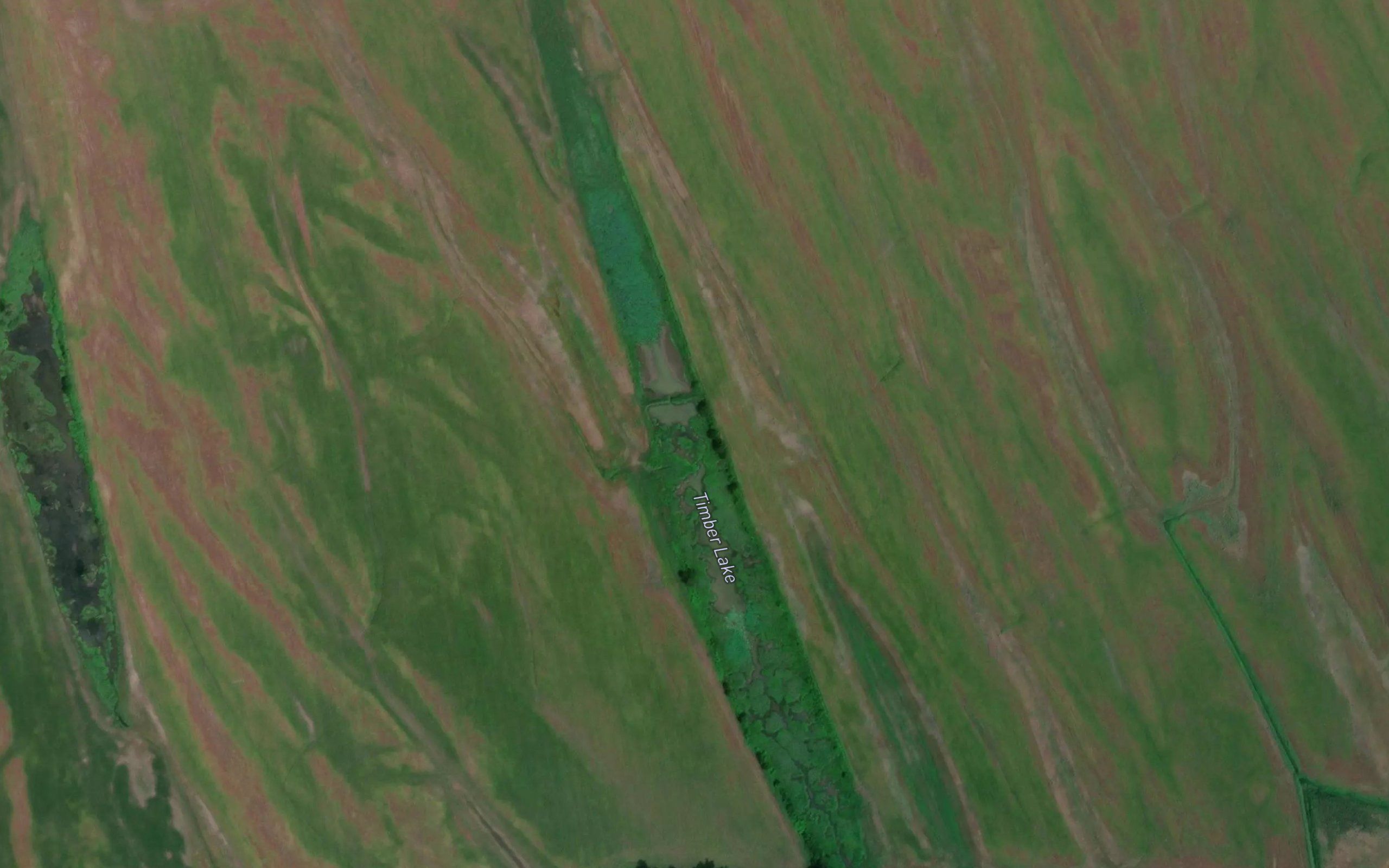 Timber Lake